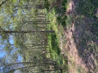 TBD St Johns Rd, Dale, TX 78616