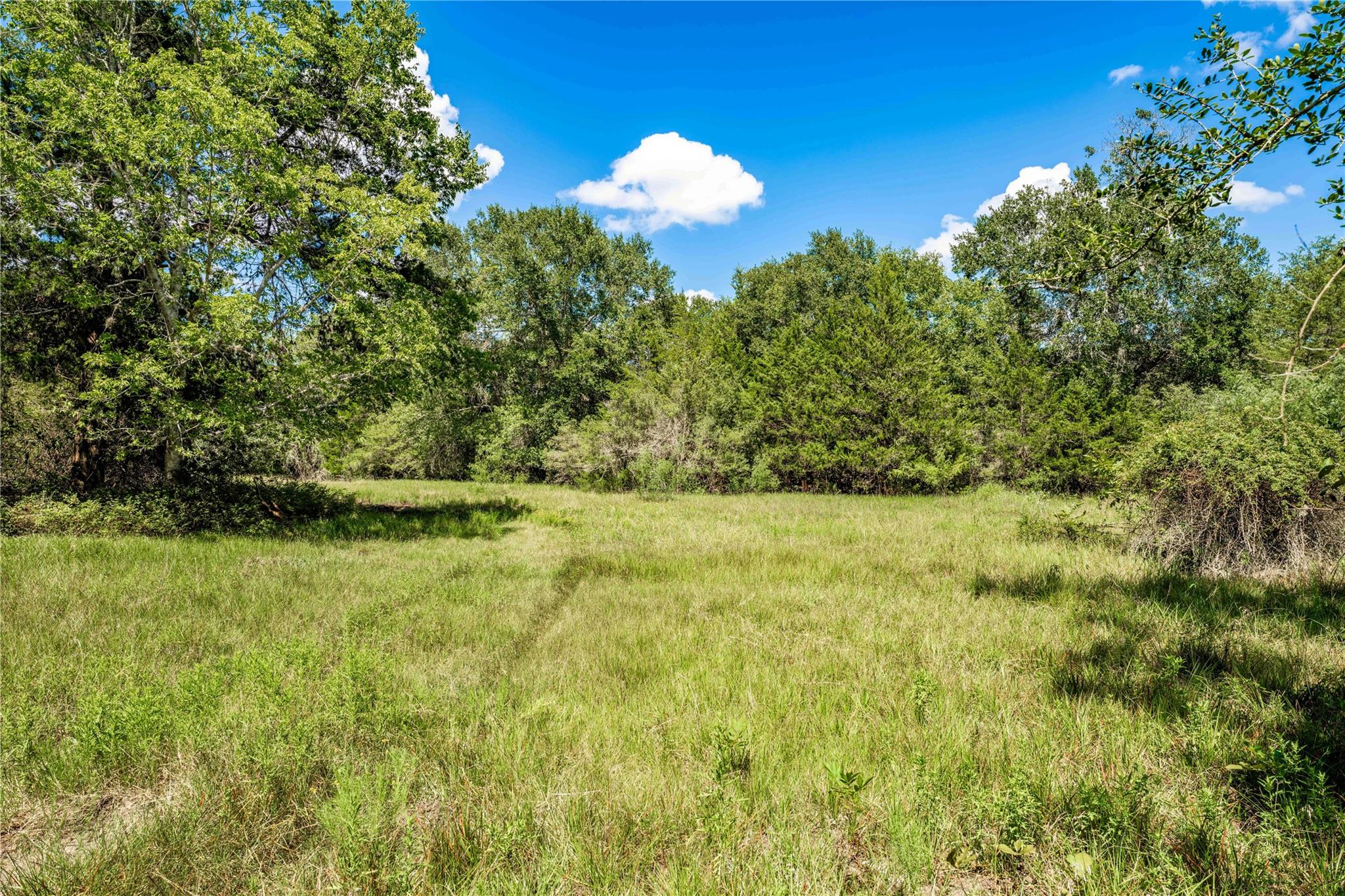 TBD CR 253, Weimar, TX 78962