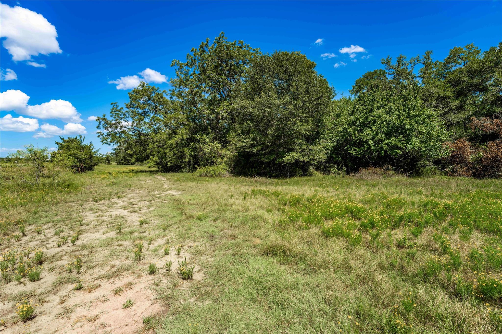 TBD CR 253, Weimar, TX 78962