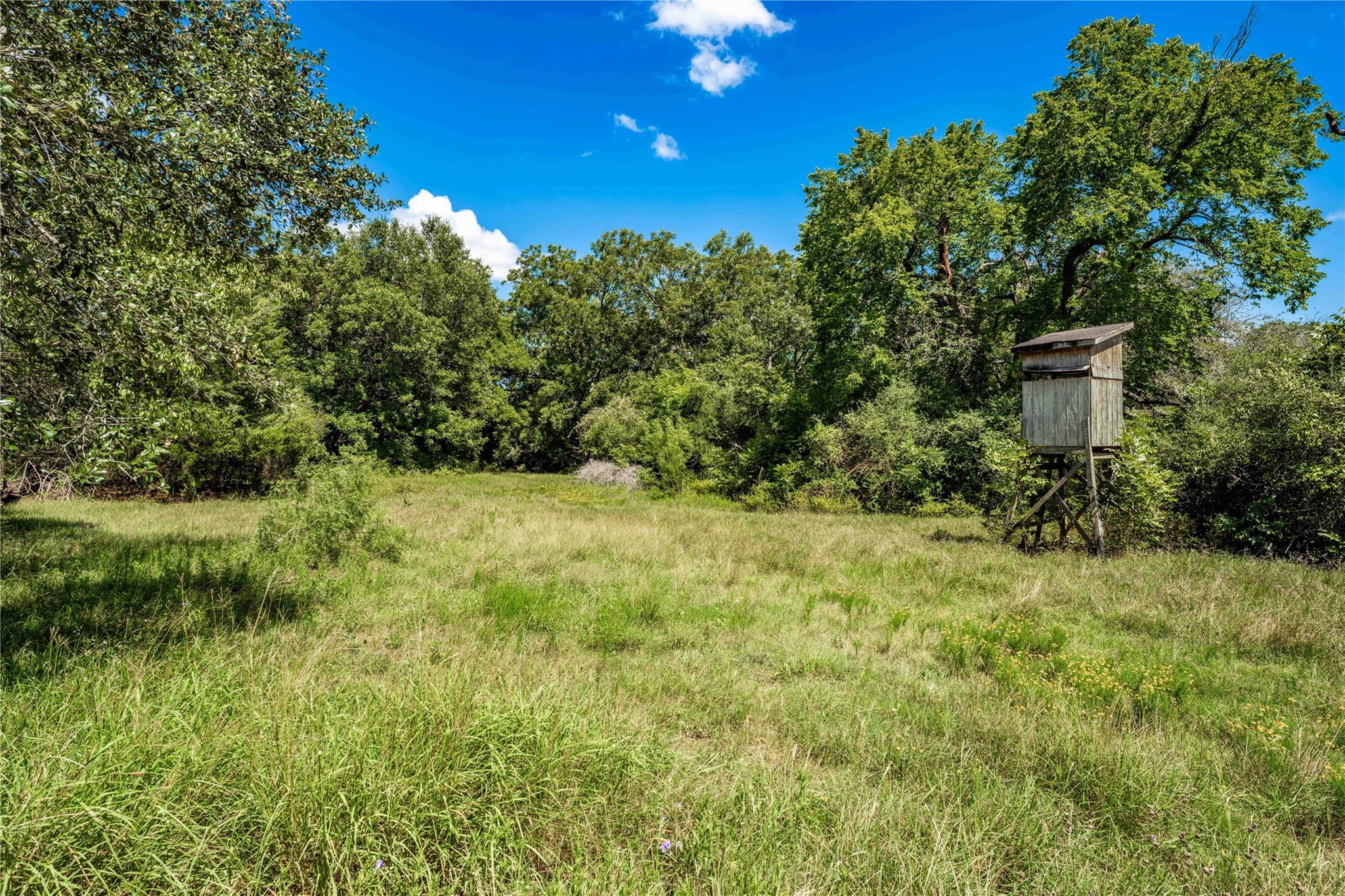 TBD CR 253, Weimar, TX 78962