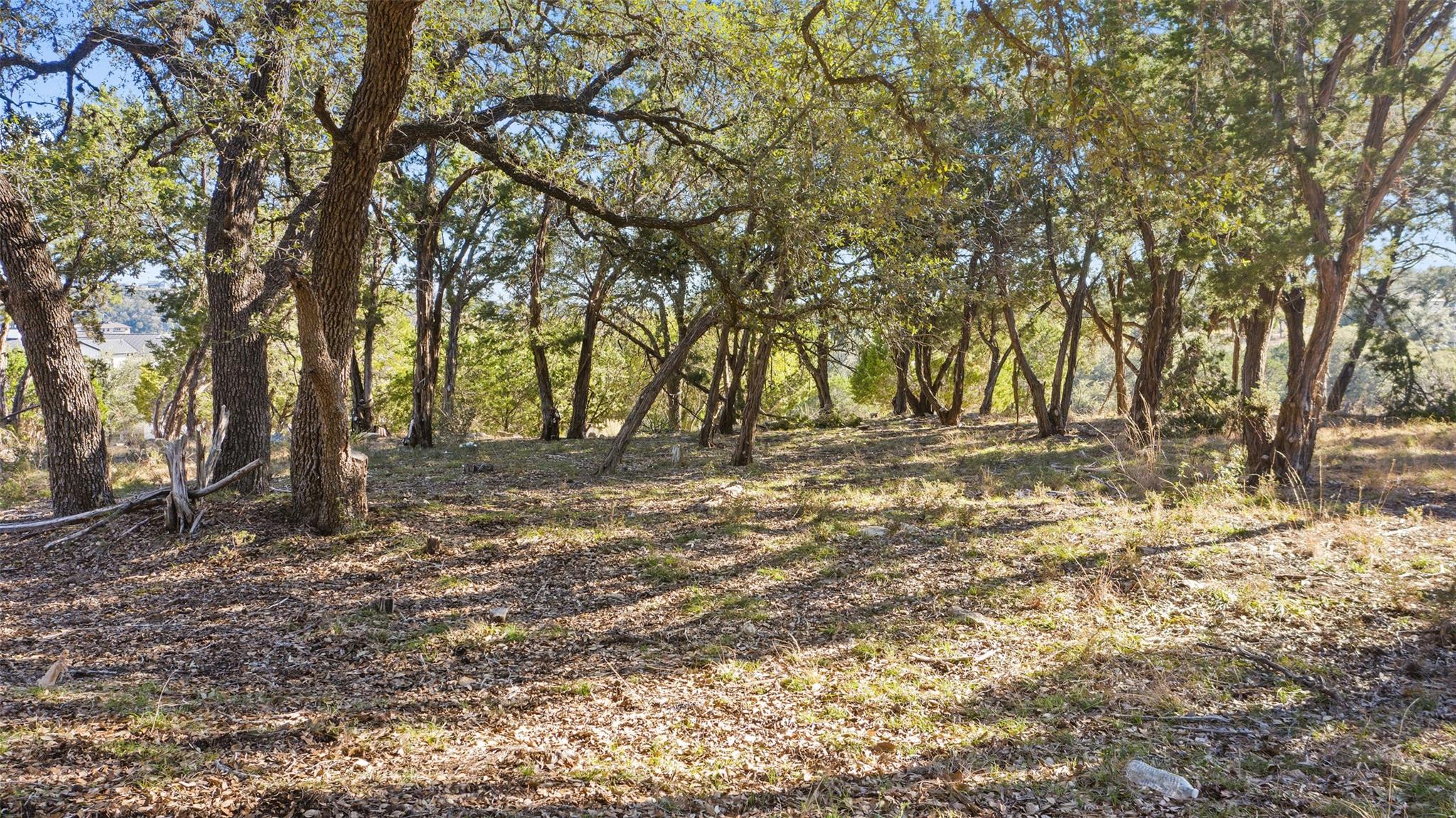 18509 Flying J Blvd, Spicewood, TX 78669