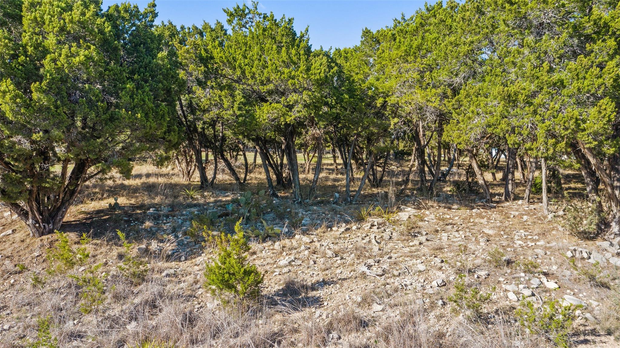 18509 Flying J Blvd, Spicewood, TX 78669