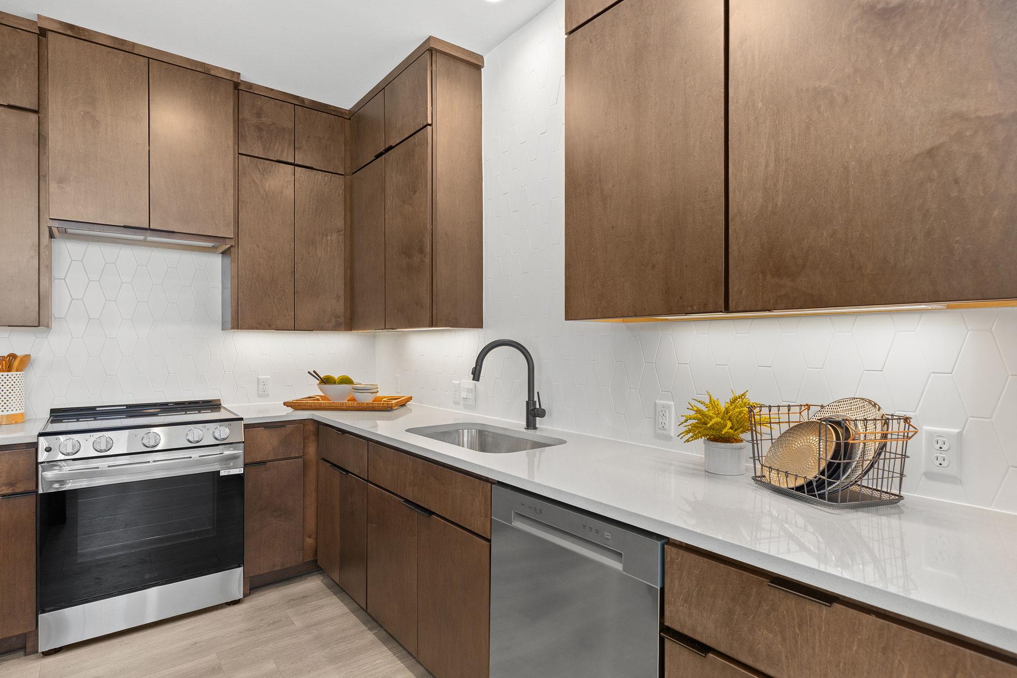 9812 Petrichor Blvd, Manor, TX 78653