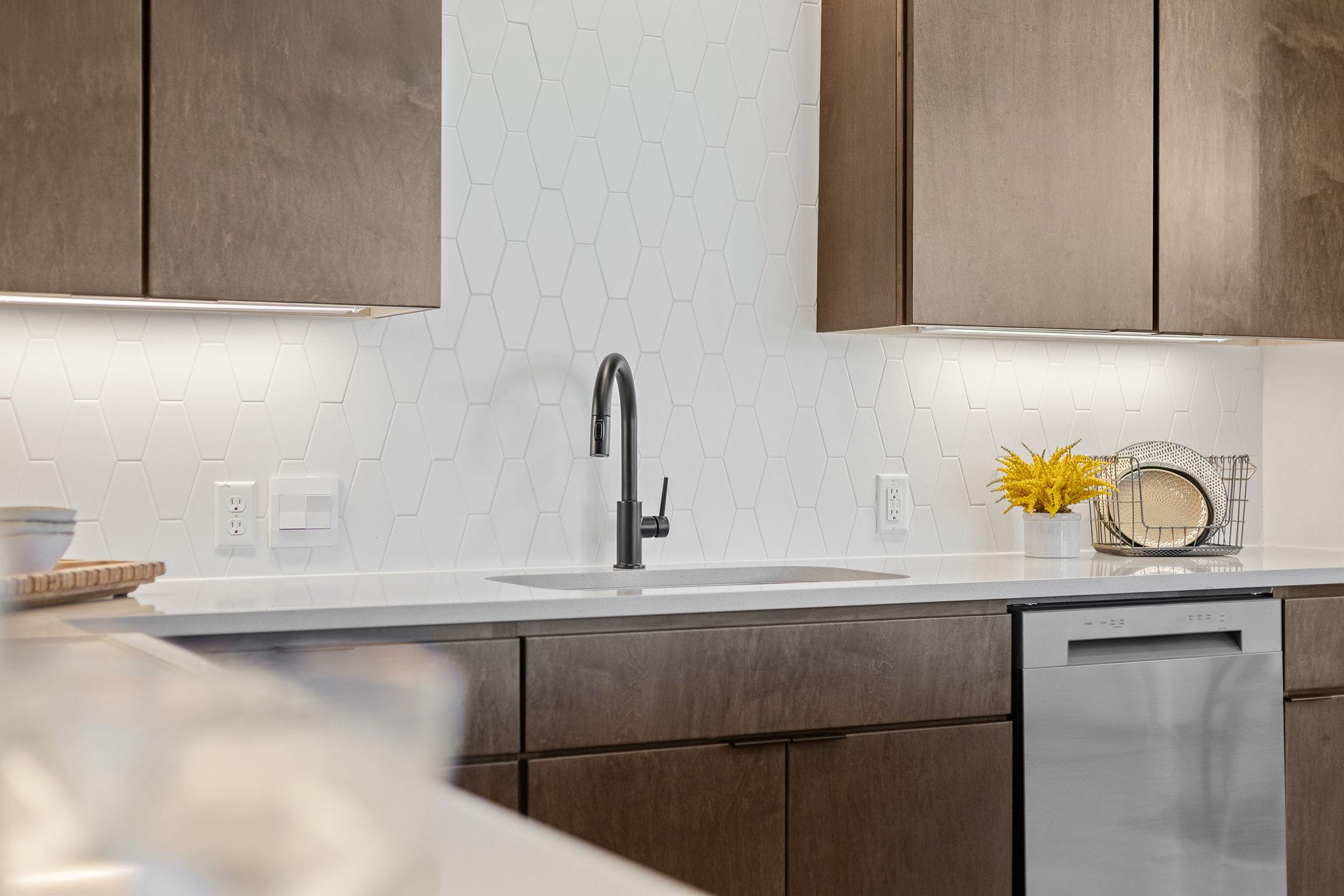 9812 Petrichor Blvd, Manor, TX 78653