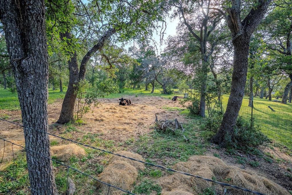 1950 Estrellita Ranch Rd, Canyon Lake, TX 78133