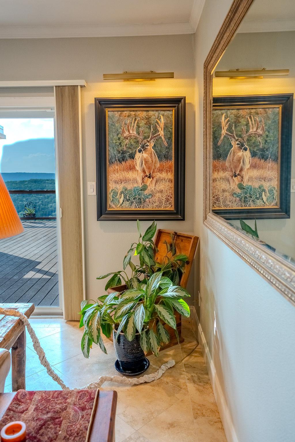 1950 Estrellita Ranch Rd, Canyon Lake, TX 78133