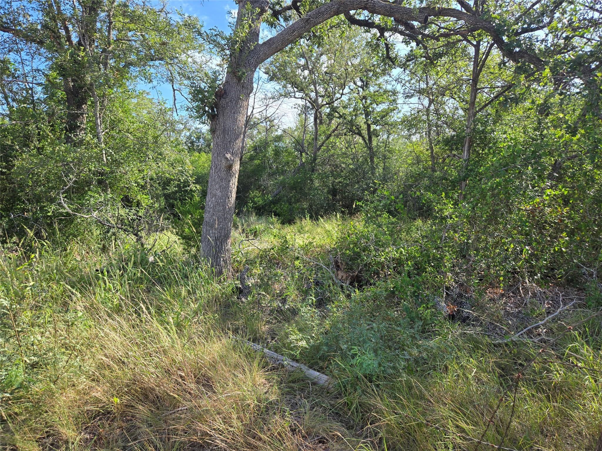 0 Mesquite Dr, Cedar Creek, TX 78612