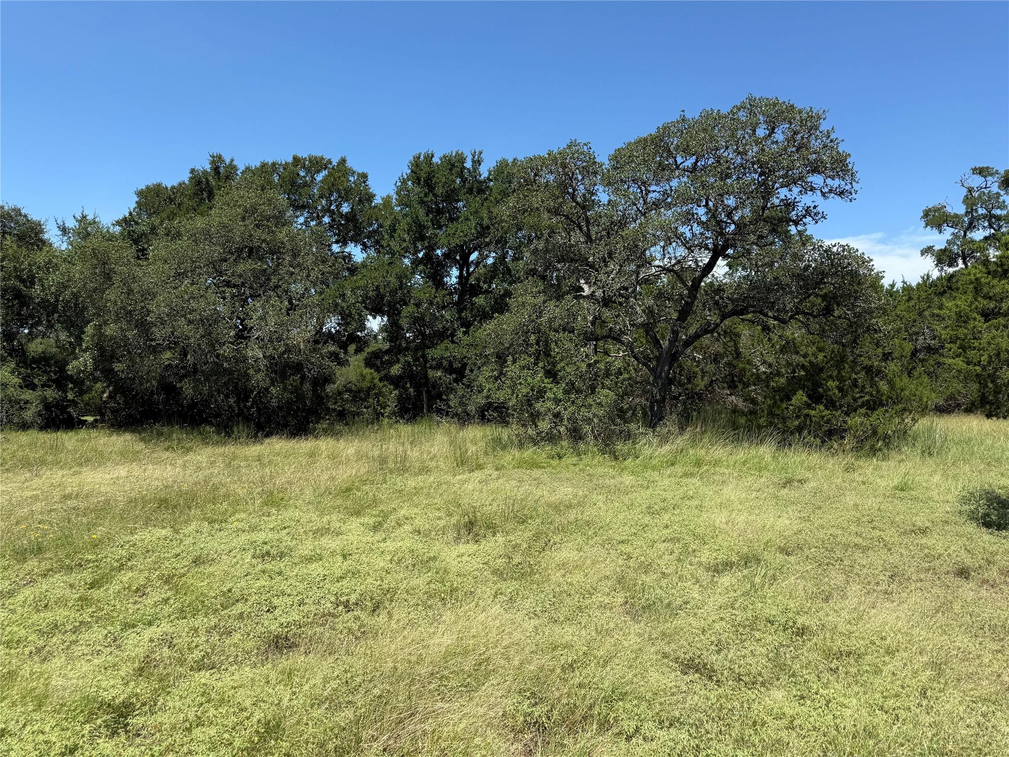 113 N John Bird St, Blanco, TX 78606