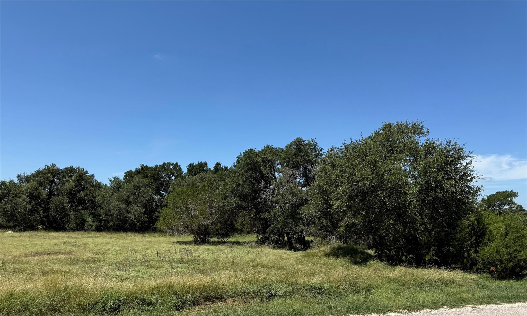 113 N John Bird St, Blanco, TX 78606