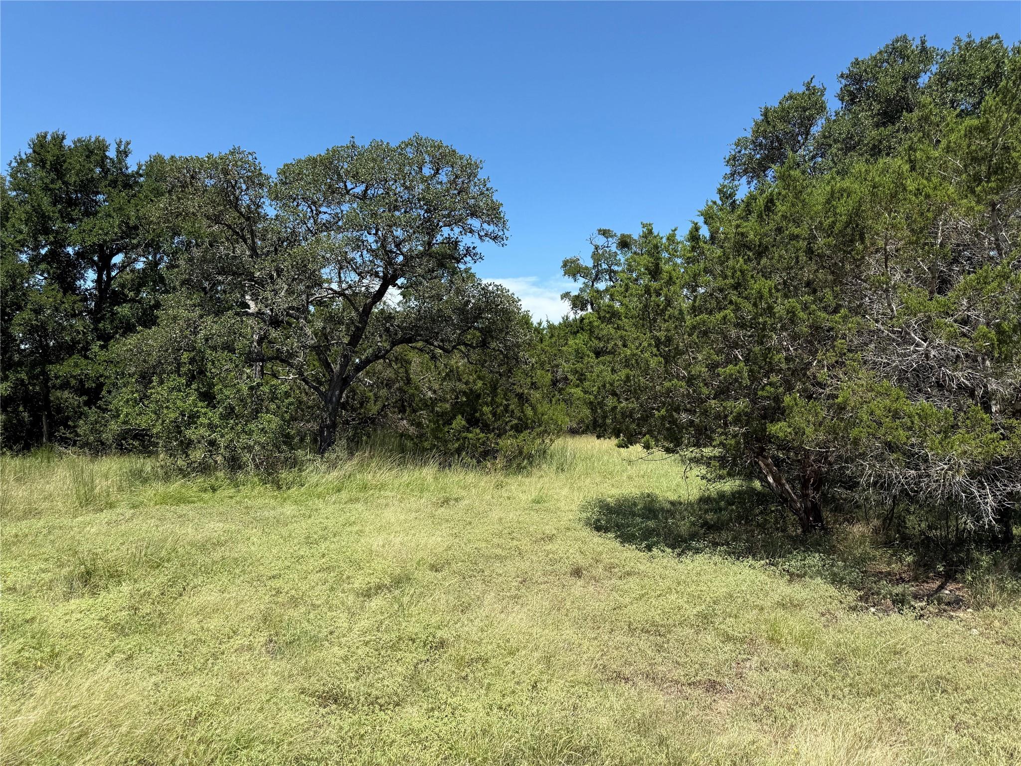 113 N John Bird St, Blanco, TX 78606