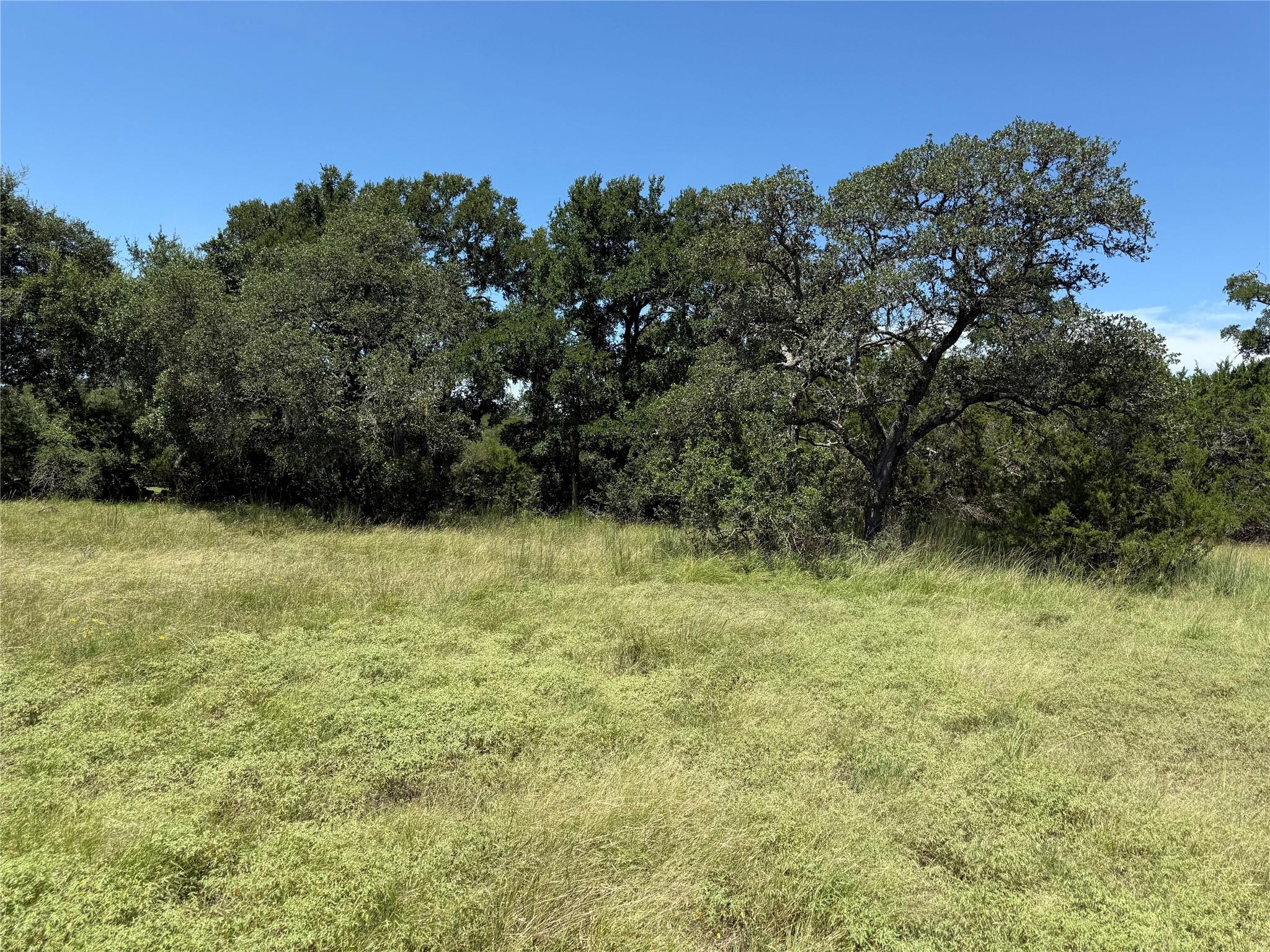 113 N John Bird St, Blanco, TX 78606