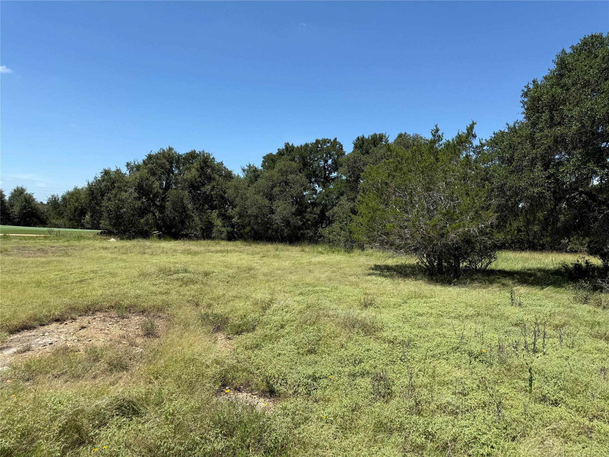 113 N John Bird St, Blanco, TX 78606