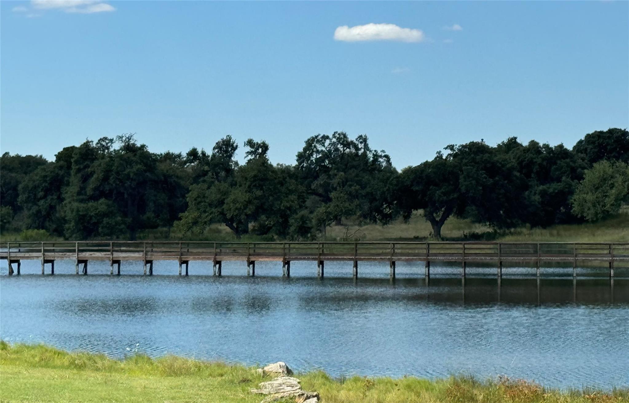 113 N John Bird St, Blanco, TX 78606