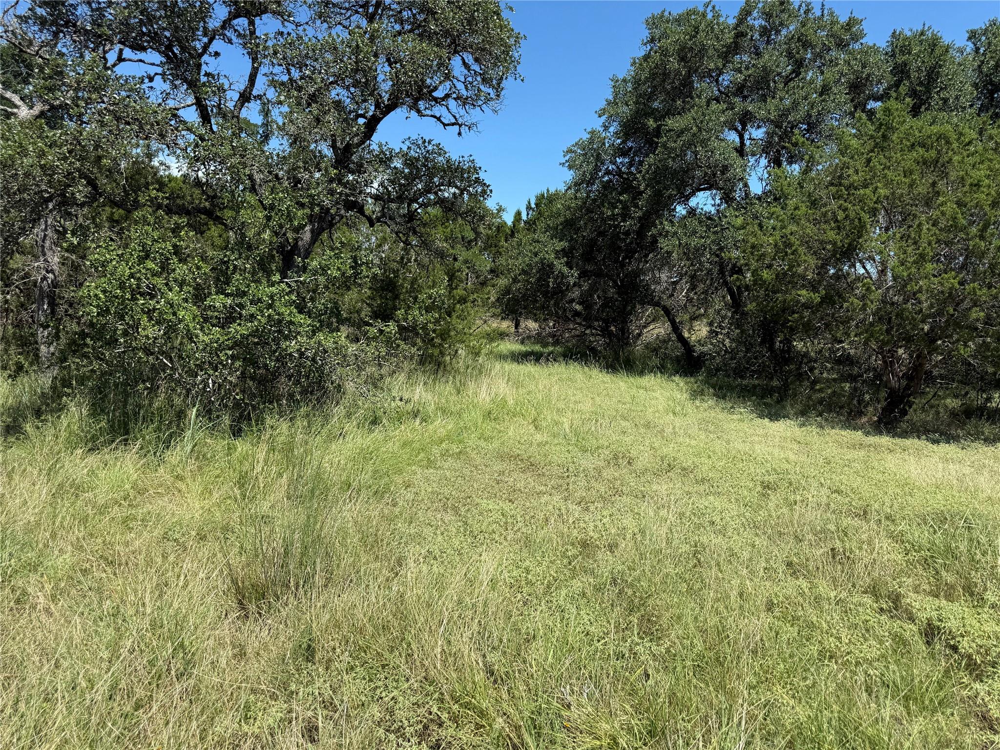 113 N John Bird St, Blanco, TX 78606