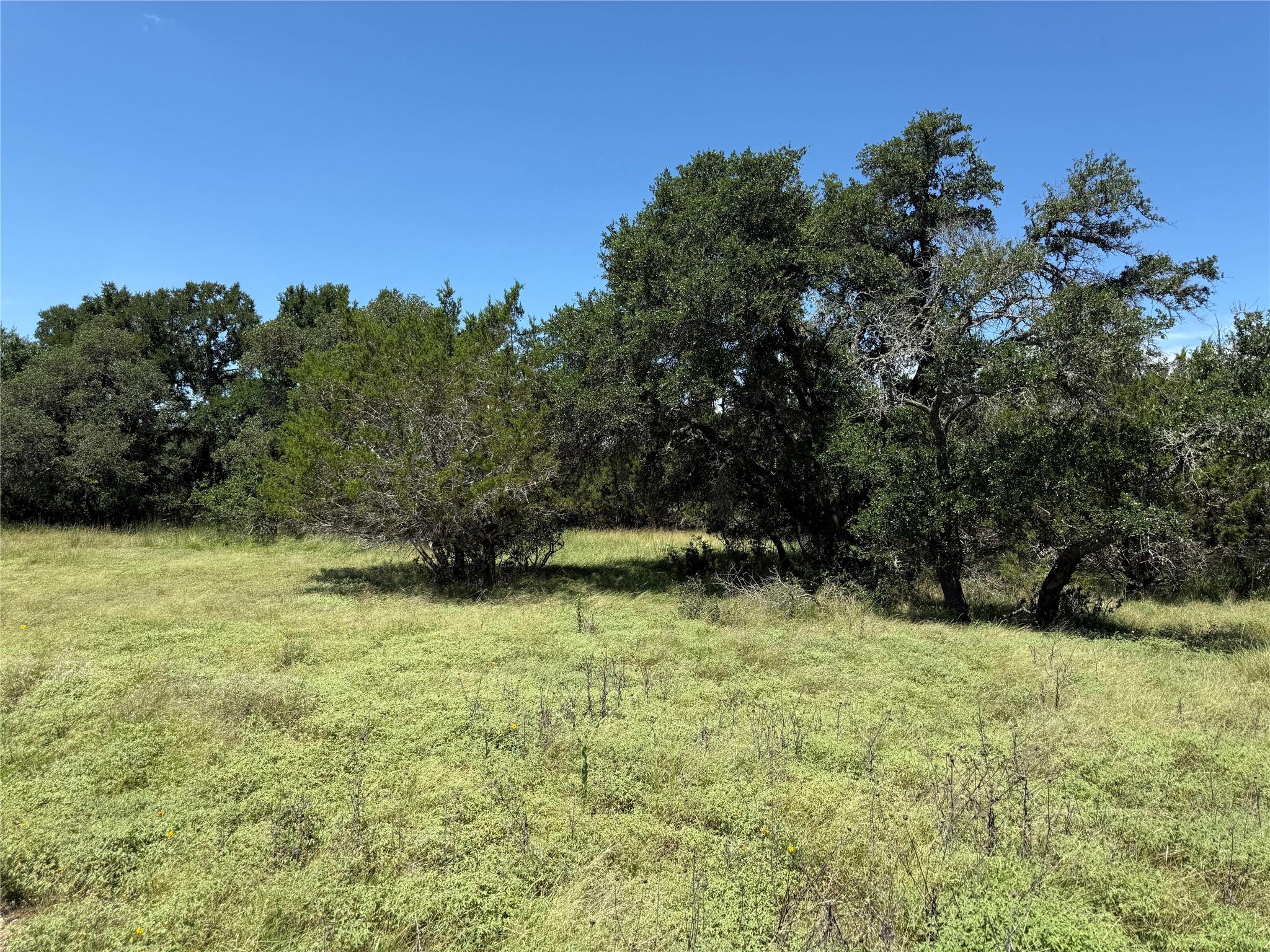 113 N John Bird St, Blanco, TX 78606