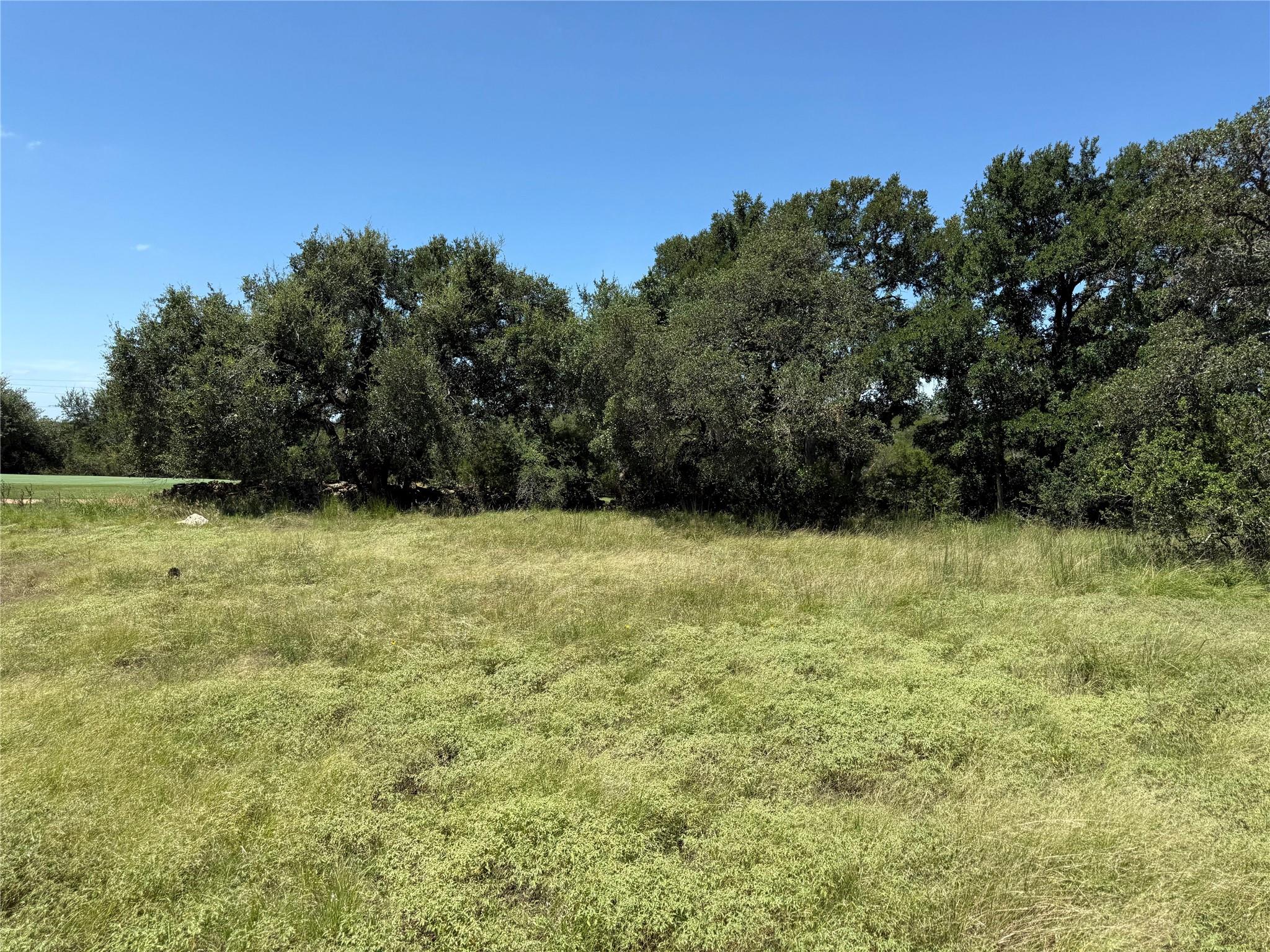 113 N John Bird St, Blanco, TX 78606