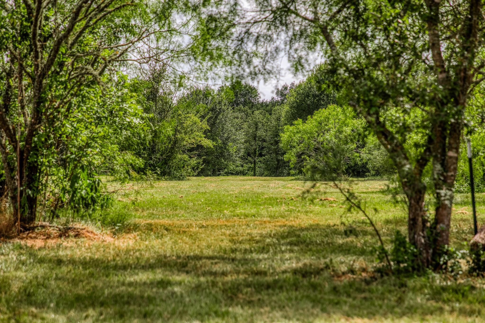 9159 FM 1362, Caldwell, TX 77836