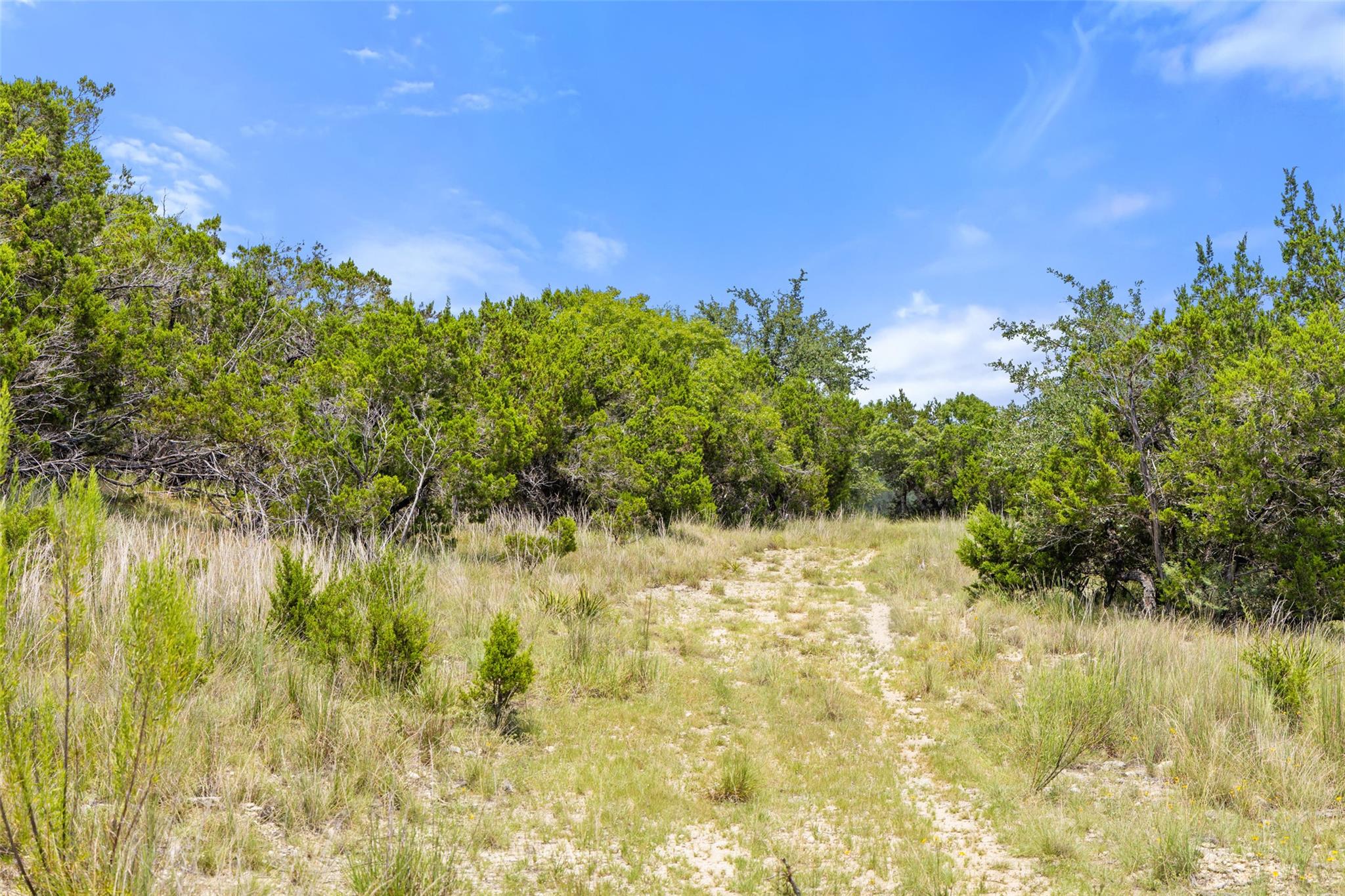 Lot 162 Legacy Hills, Johnson City, TX 78636