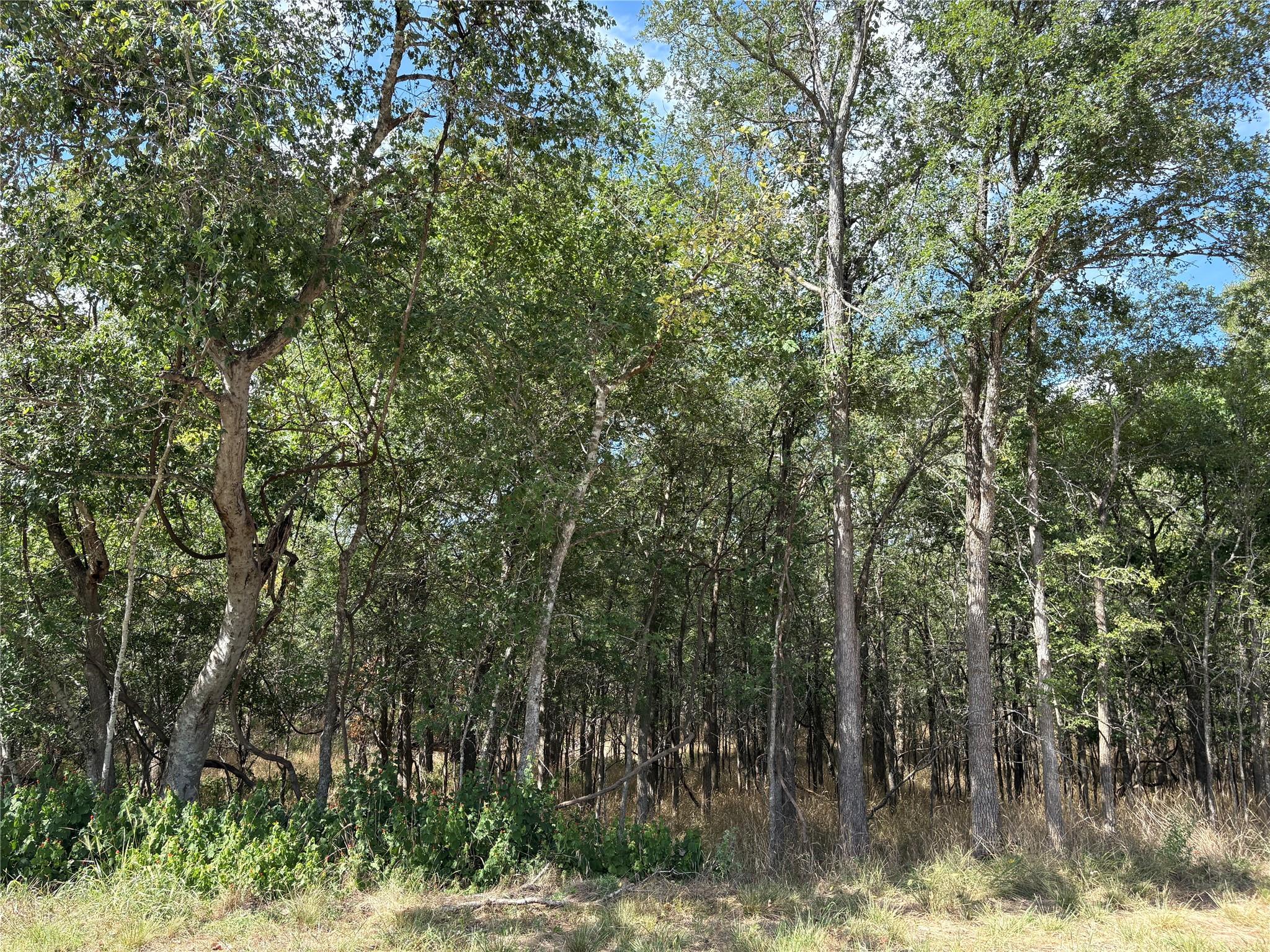 103 & 105 W Kikipua Ln, Bastrop, TX 78602