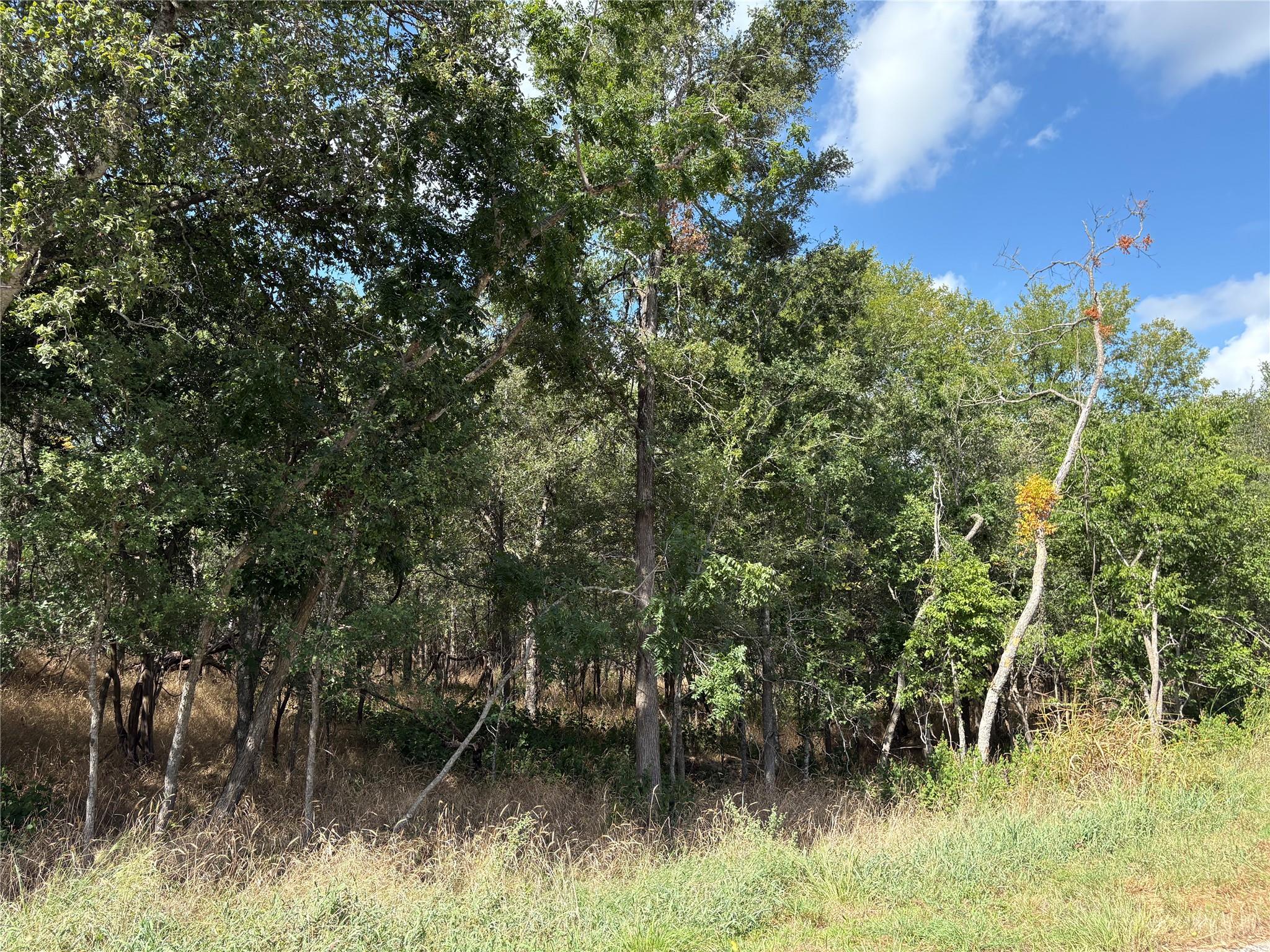 103 & 105 W Kikipua Ln, Bastrop, TX 78602