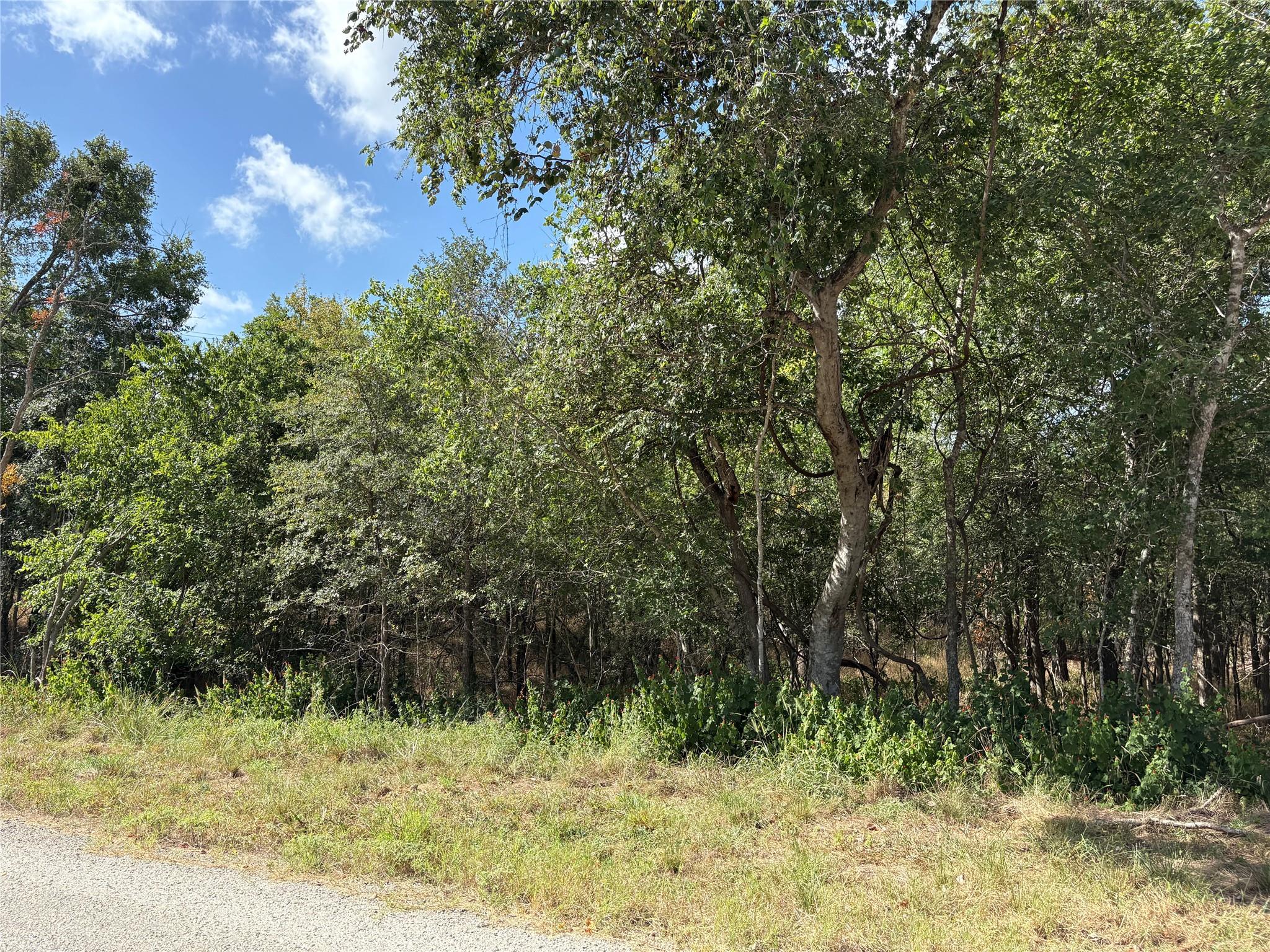 103 & 105 W Kikipua Ln, Bastrop, TX 78602