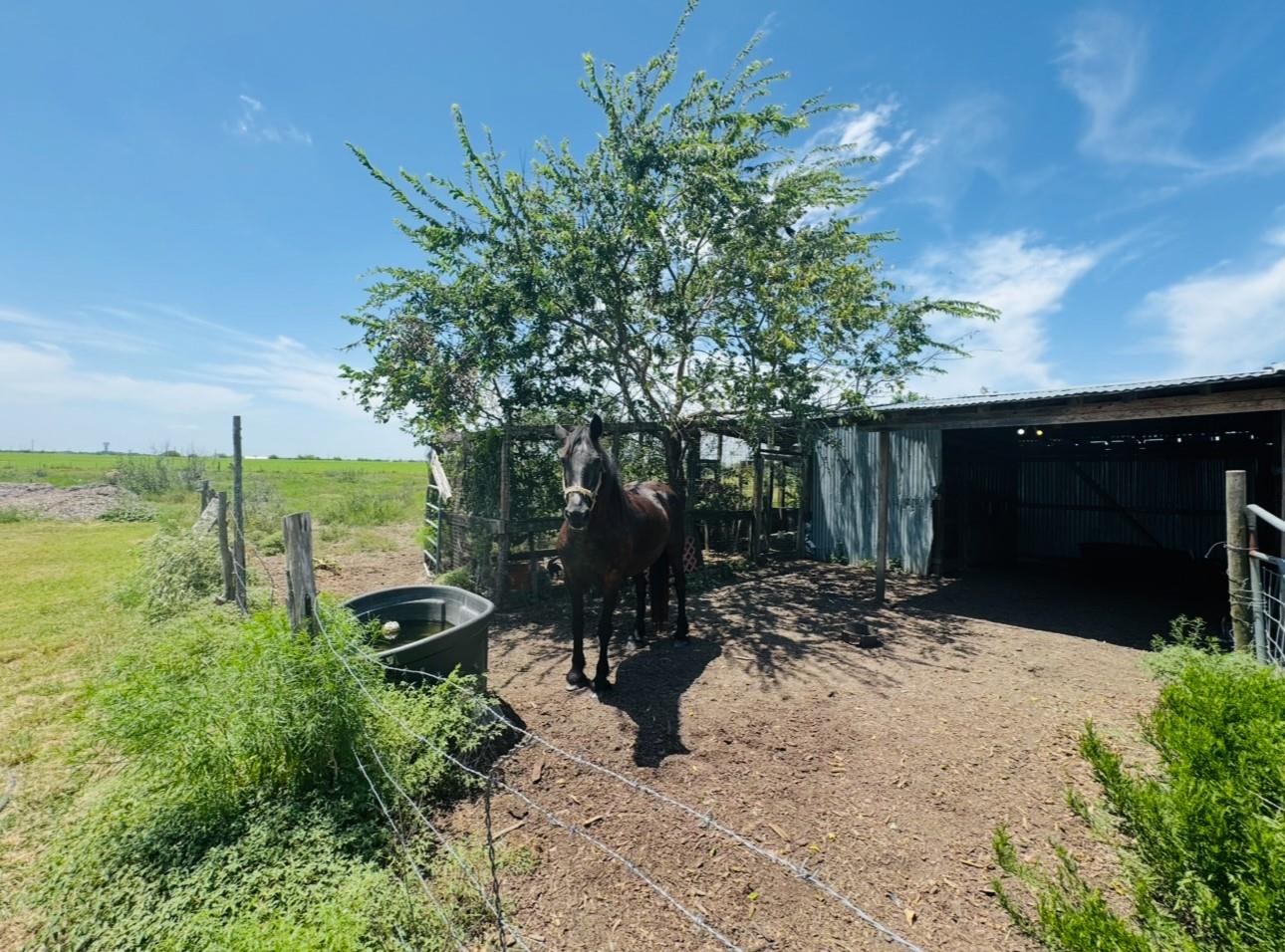 2334 CR 464, Elgin, TX 78621