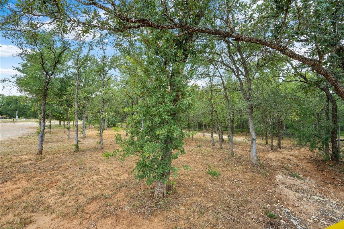 143 Chandler Cv, Cedar Creek, TX 78612