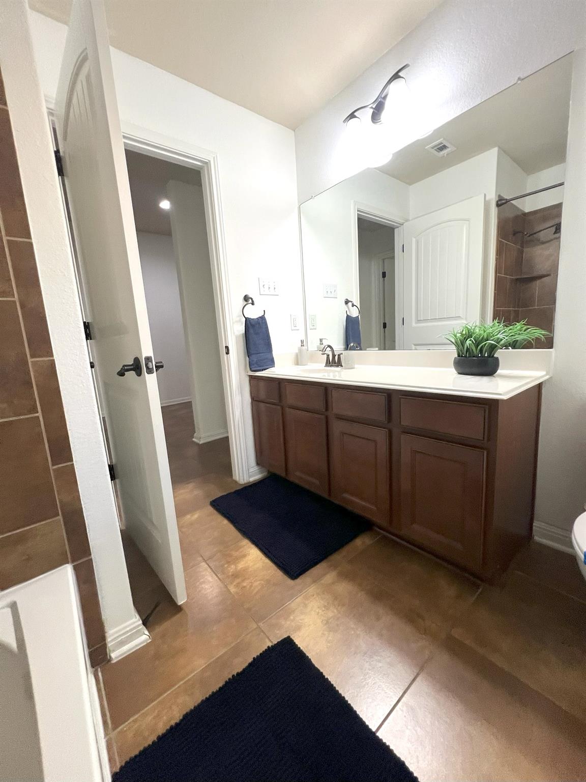 1711 Hidden Springs Path, Round Rock, TX 78665