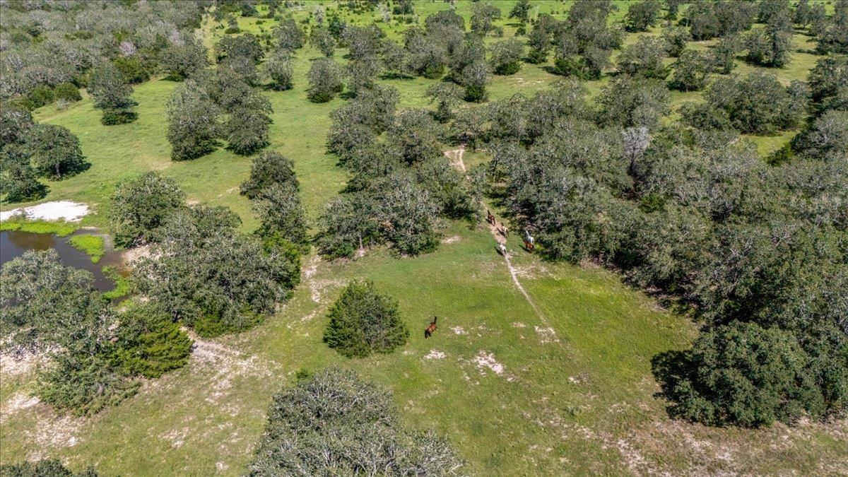 0000 Vista Ranch Rd, Smithville, TX 78957