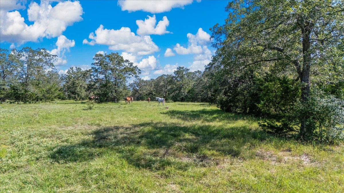 0000 Vista Ranch Rd, Smithville, TX 78957