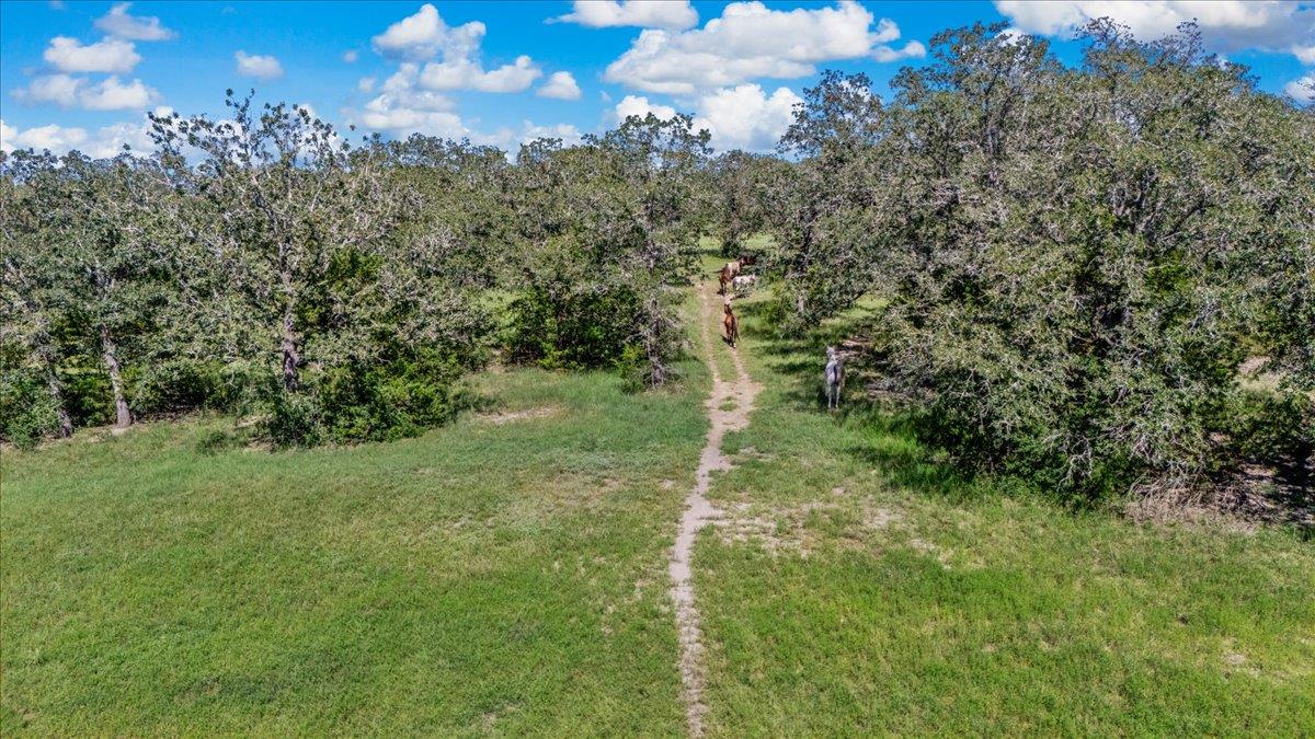 0000 Vista Ranch Rd, Smithville, TX 78957