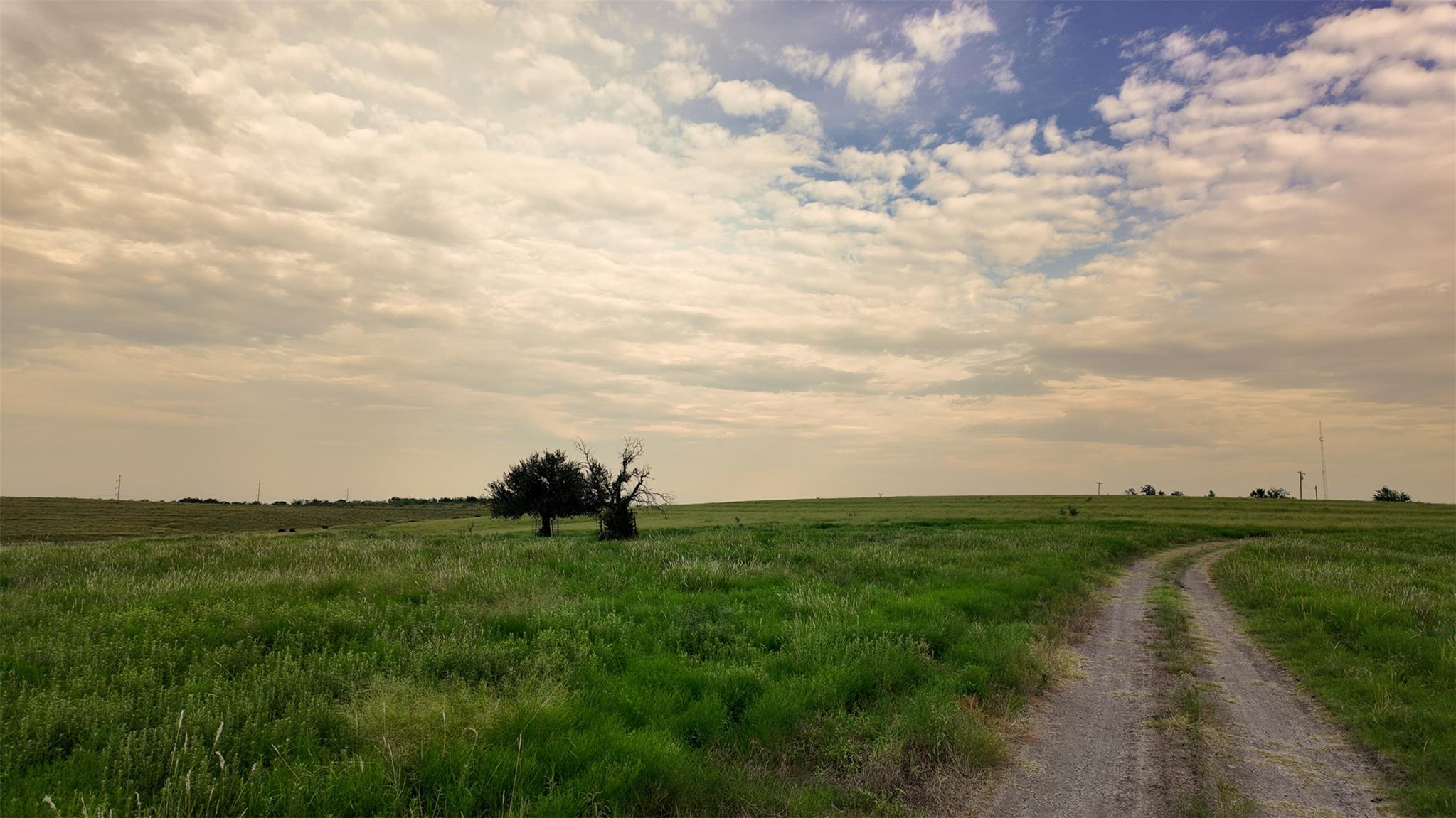 10966 Stringtown Rd, Temple, TX 76501