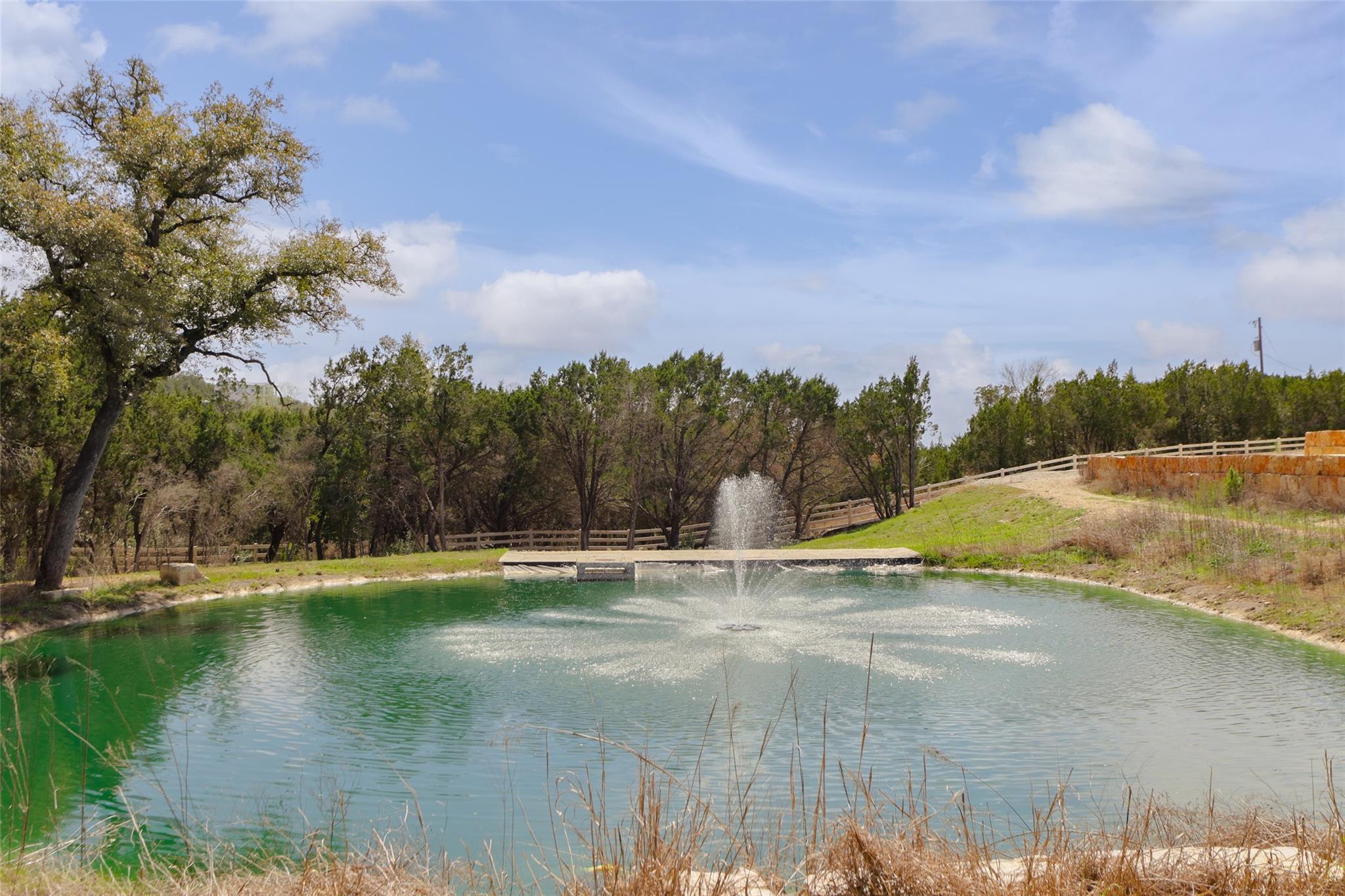 15608 Mary St, Austin, TX 78641