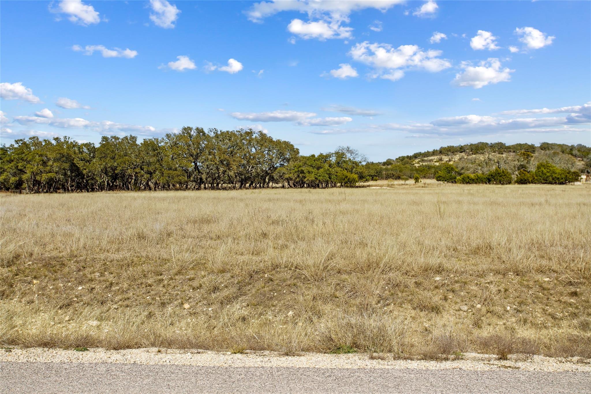 TBD Purple Sage Trl, Blanco, TX 78606