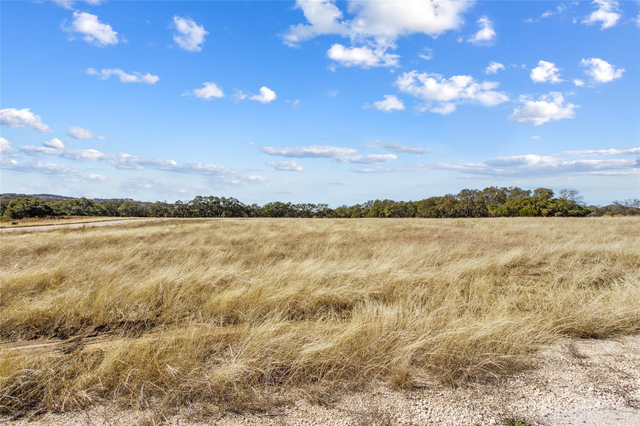 TBD Purple Sage Trl, Blanco, TX 78606