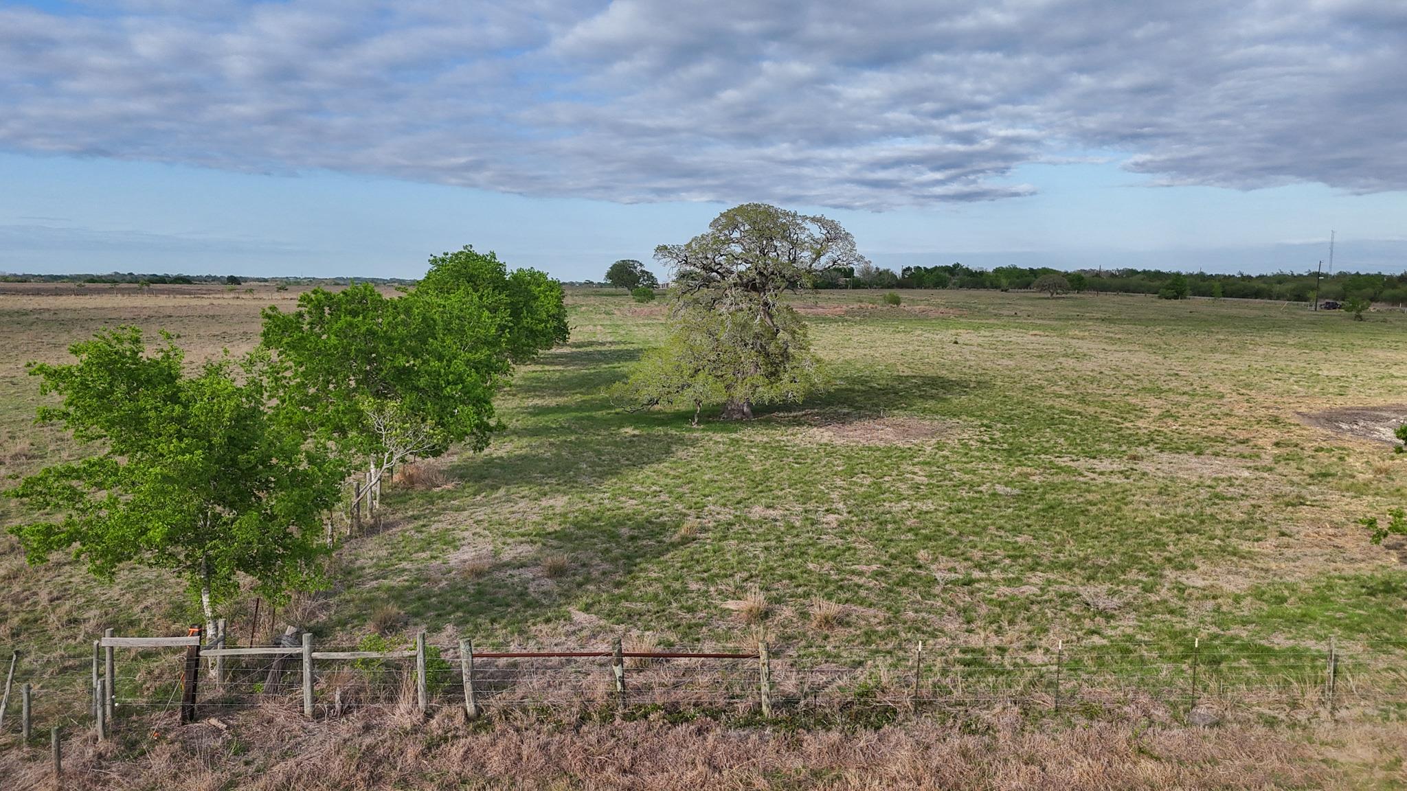 2077 East State Hwy 237, Round Top, TX 78954