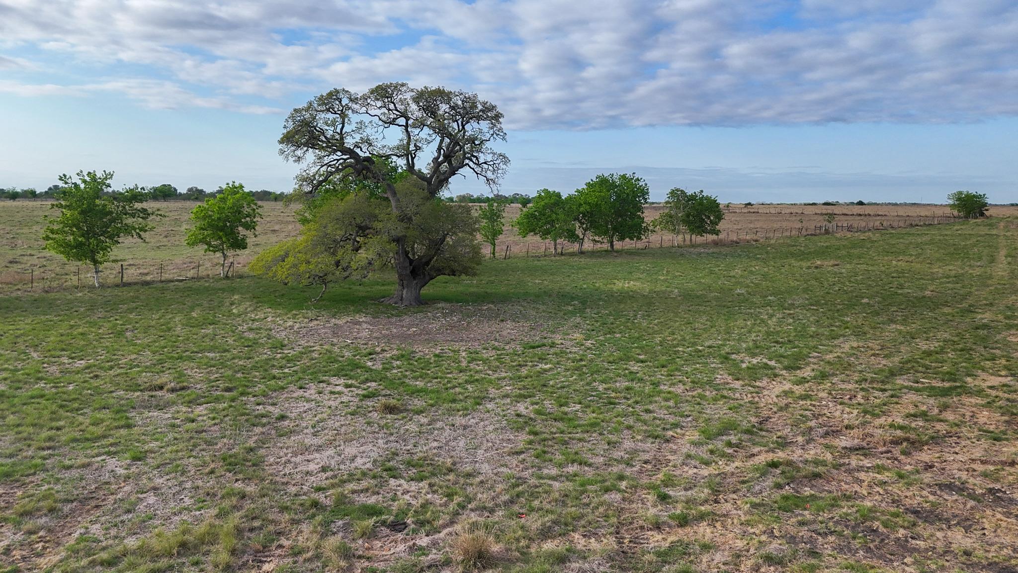 2077 East State Hwy 237, Round Top, TX 78954