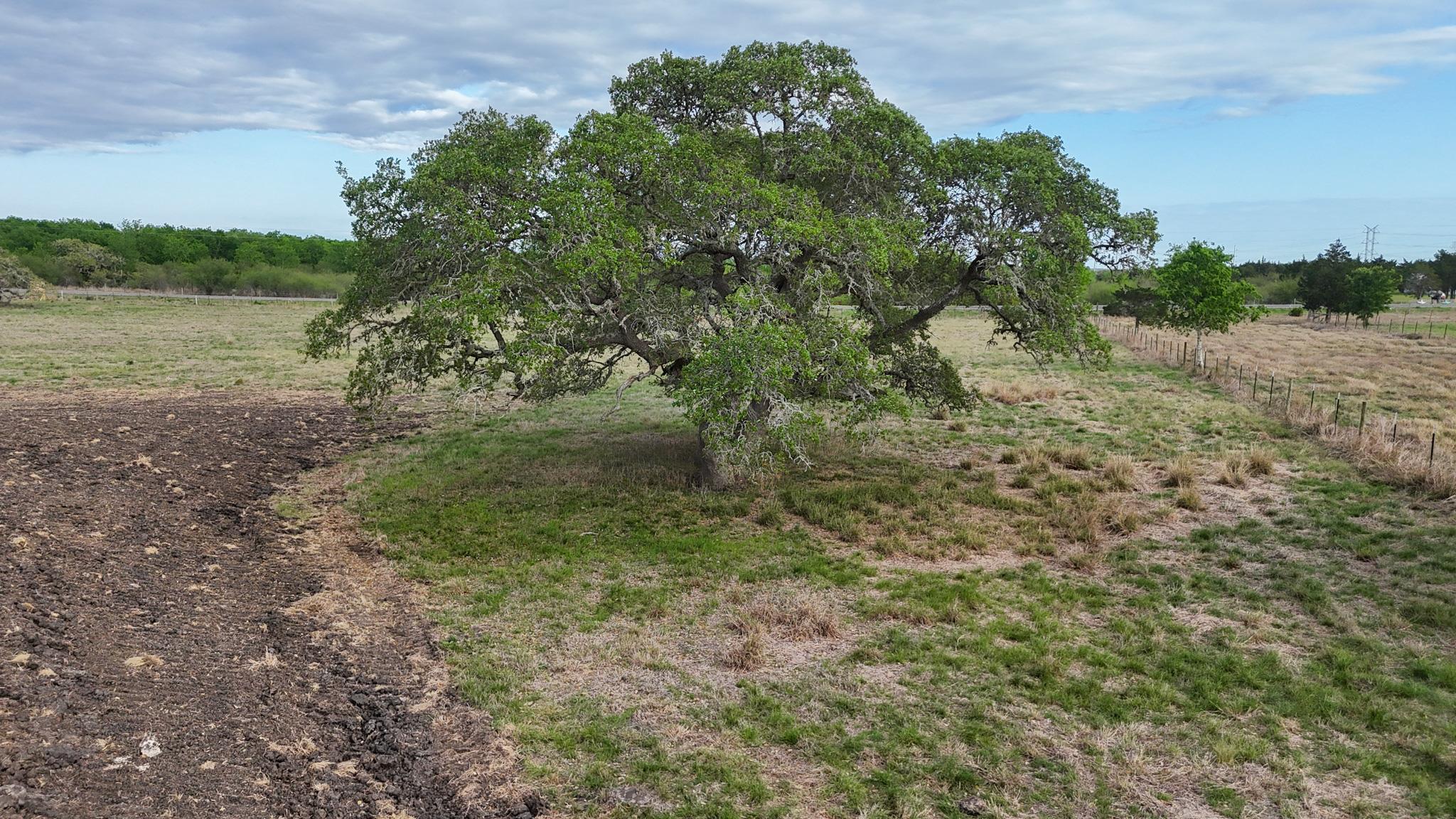 2077 East State Hwy 237, Round Top, TX 78954