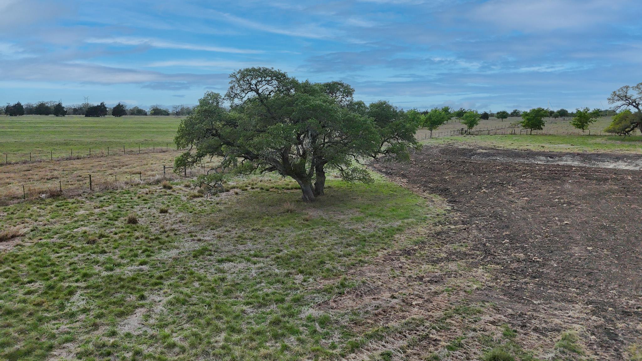 2077 East State Hwy 237, Round Top, TX 78954