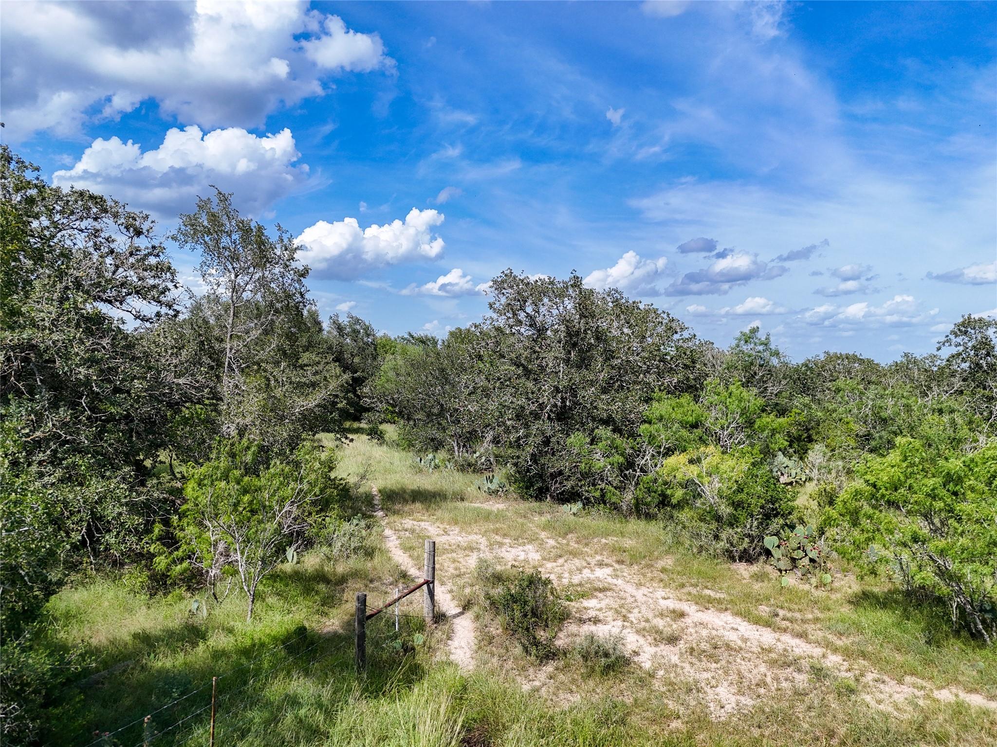 Lot 1 County Road 211, Smiley, TX 78159