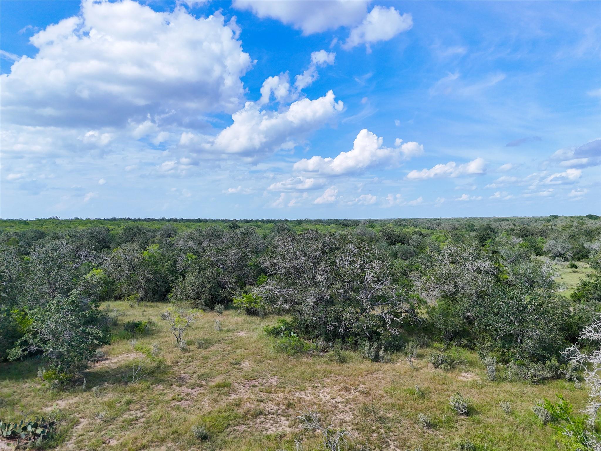 Lot 1 County Road 211, Smiley, TX 78159