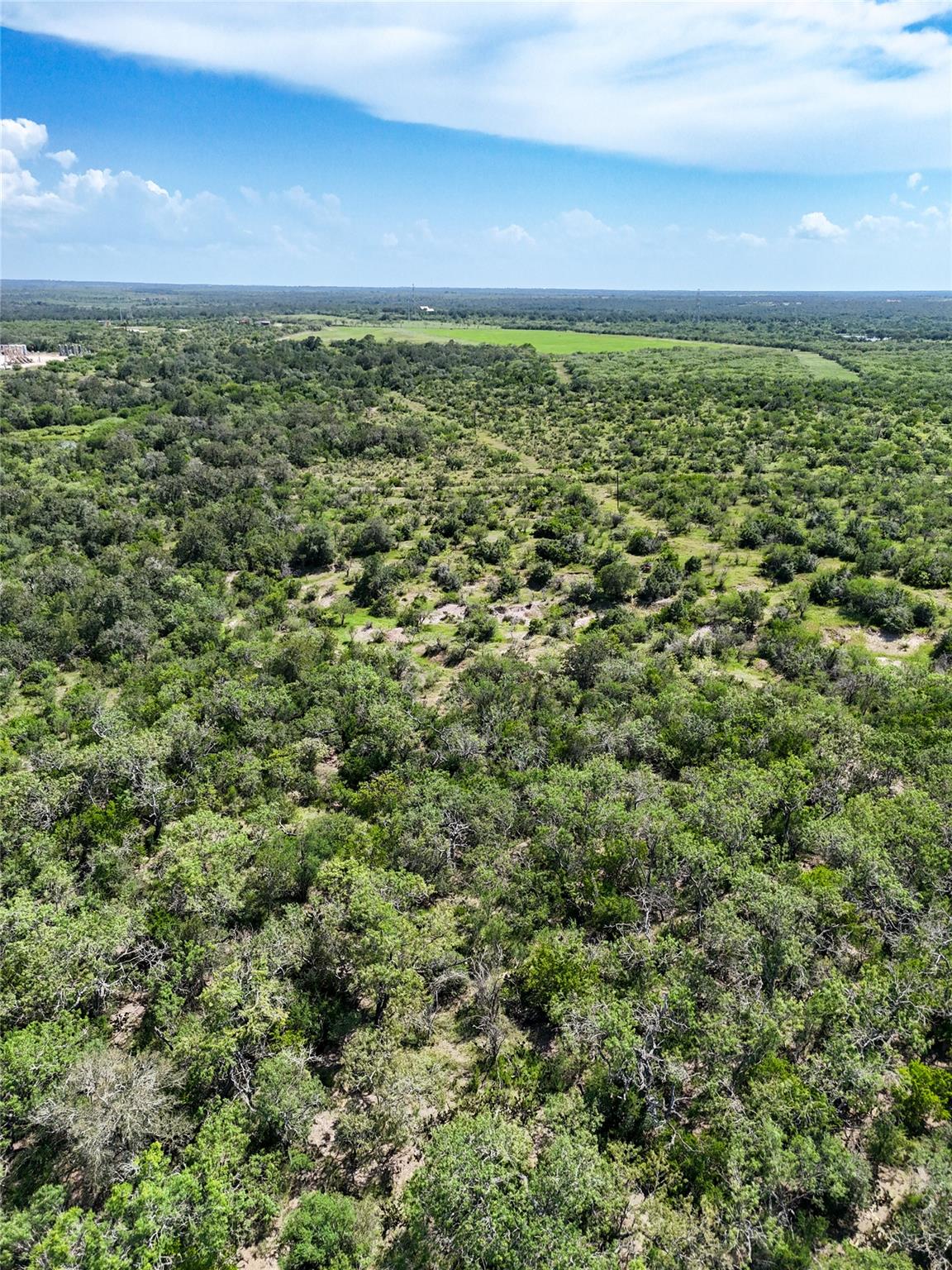 Lot 1 County Road 211, Smiley, TX 78159