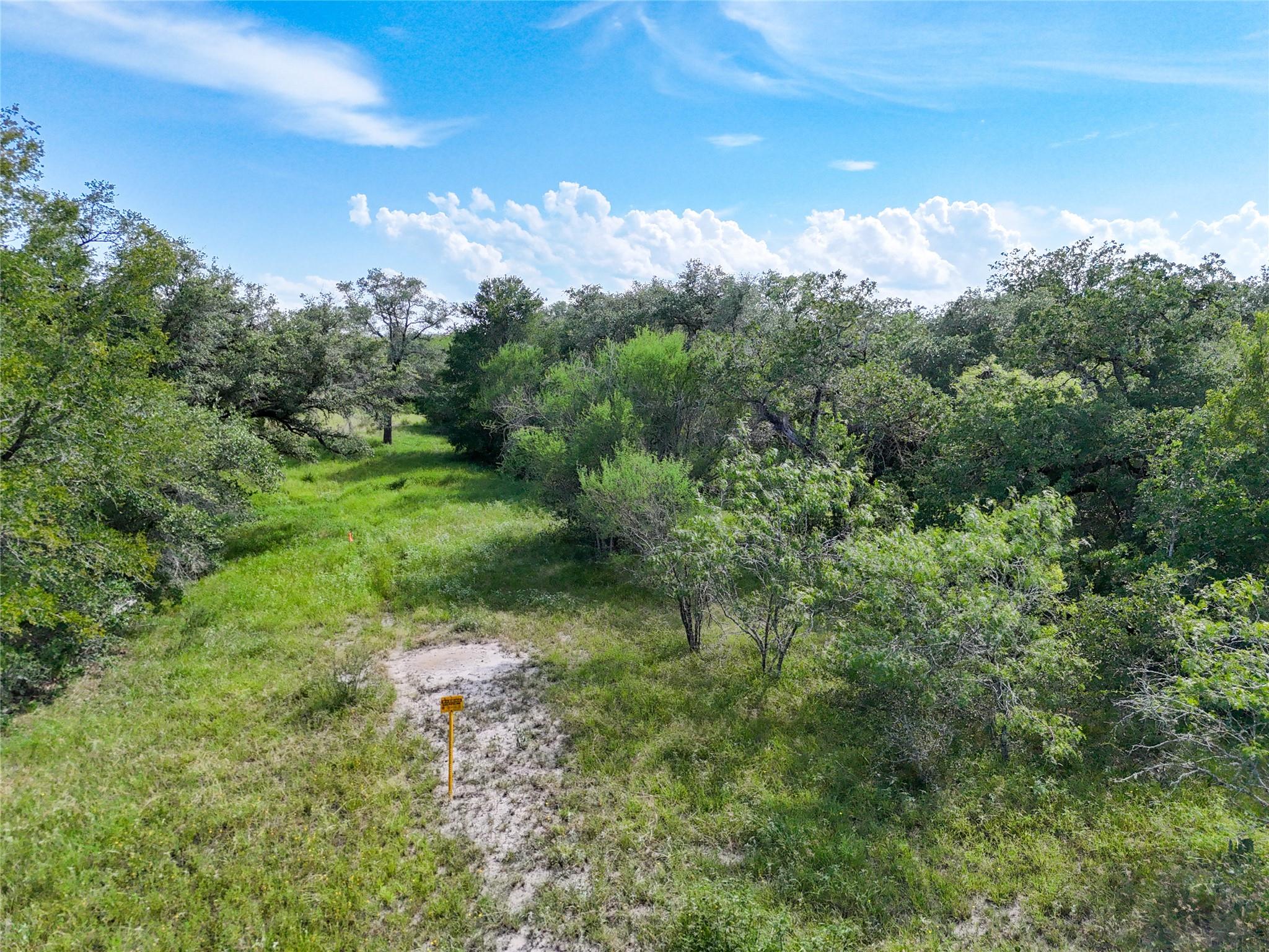 Lot 1 County Road 211, Smiley, TX 78159