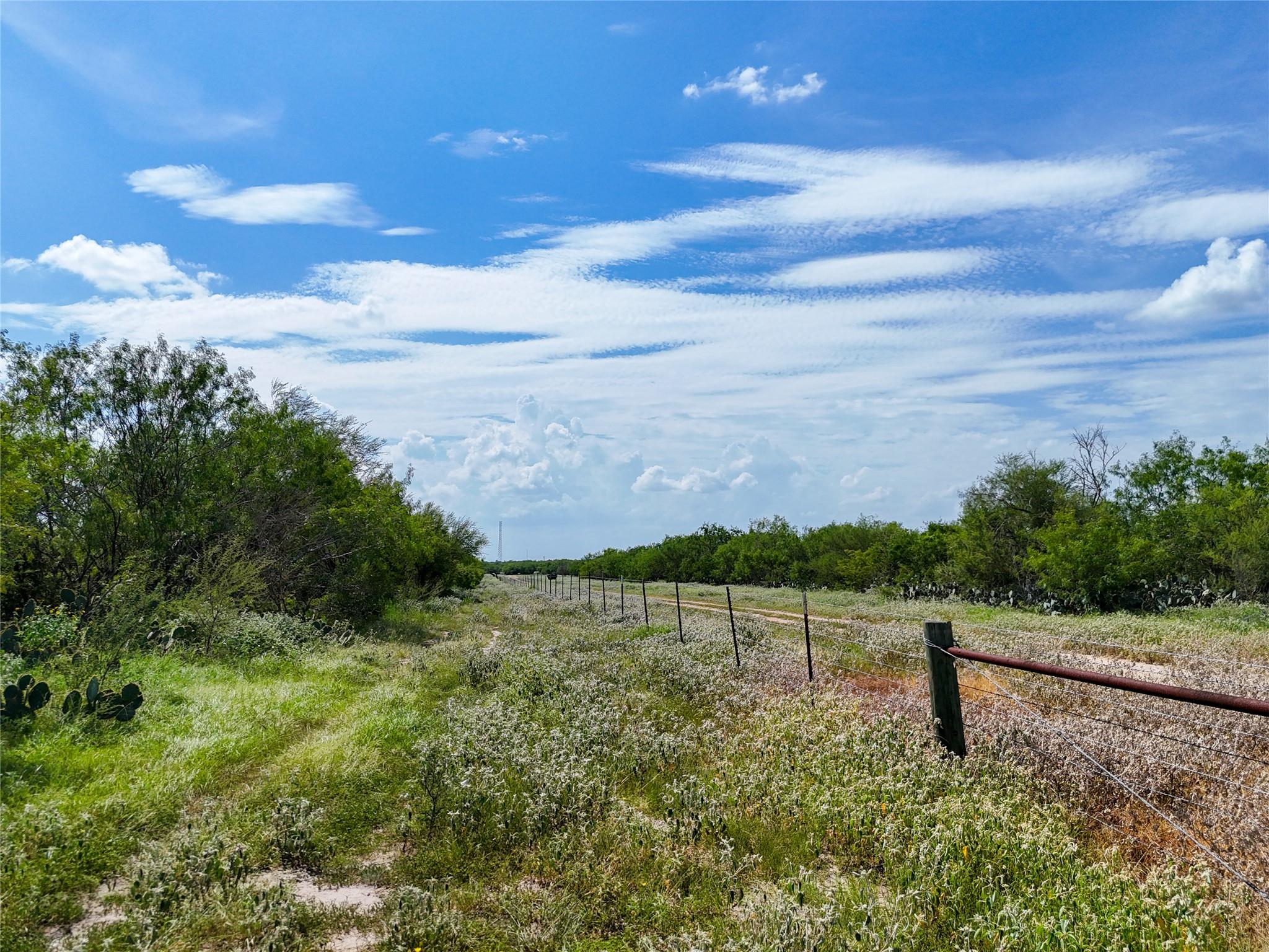 Lot 3 County Road 211, Smiley, TX 78159