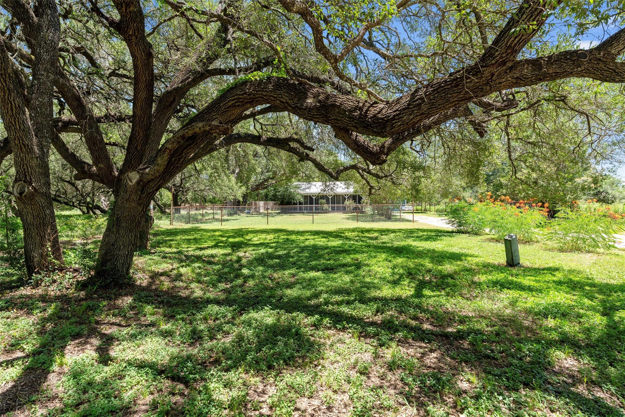 170 Whitetail Ln, Dale, TX 78616