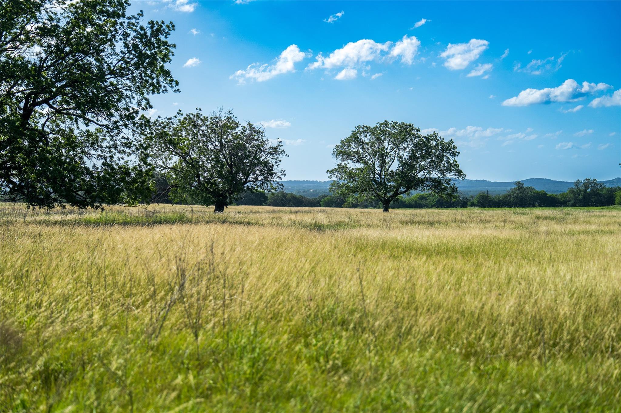 302 Hye Albert Rd, Hye, TX 78635