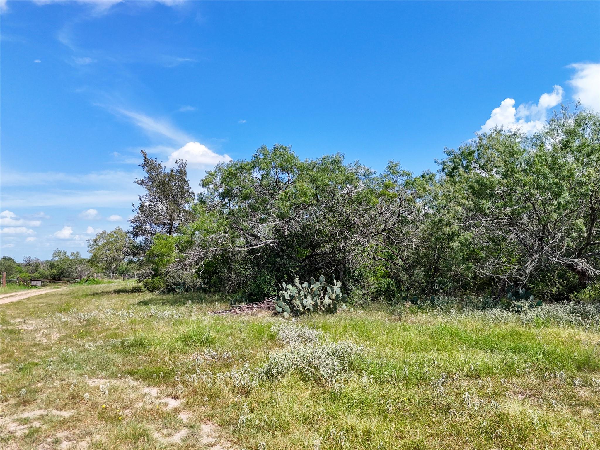 Lot 11 County Road 211, Smiley, TX 78159