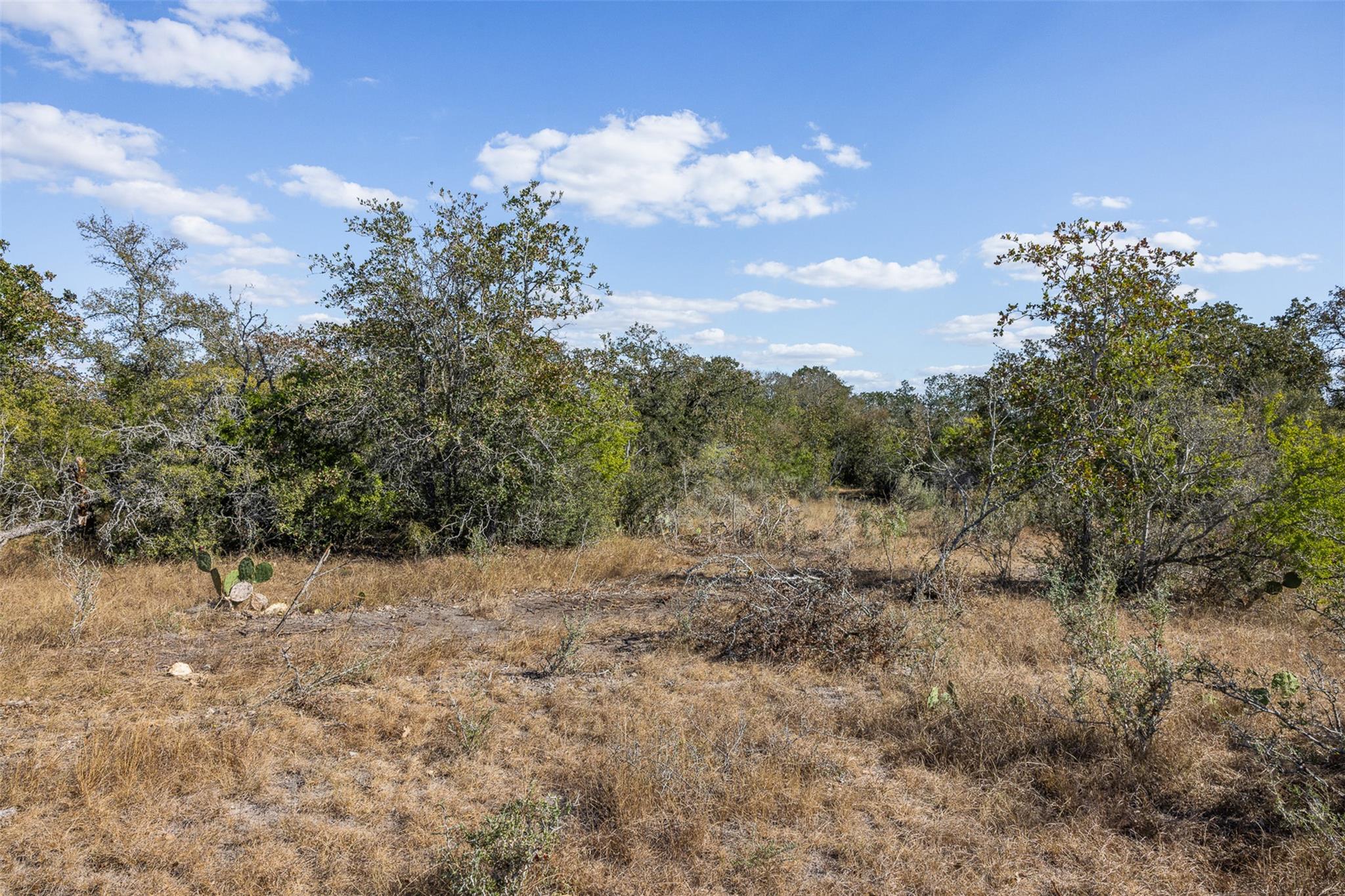 Lot 11 County Road 211, Smiley, TX 78159