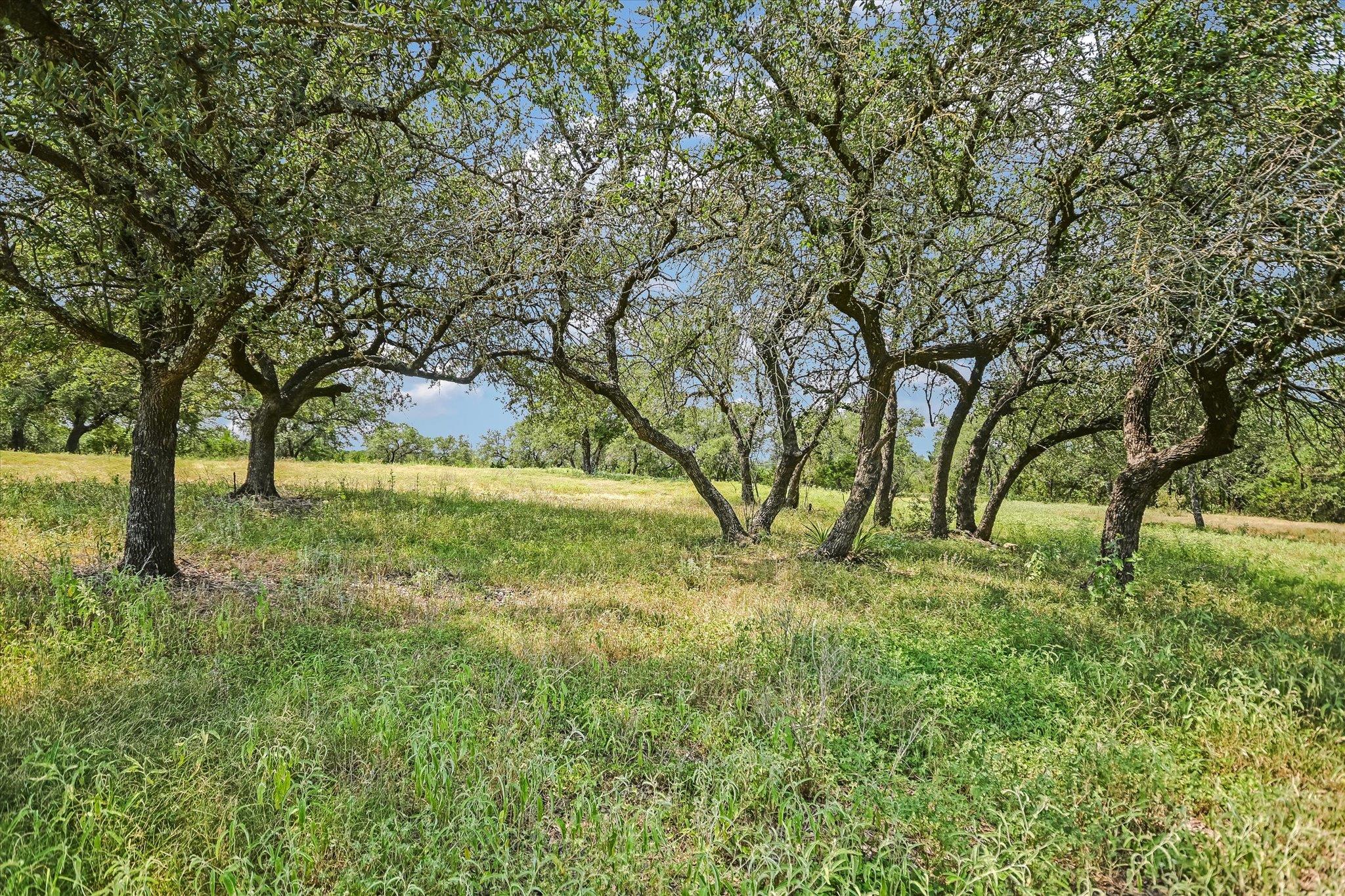 11790 E Fm 1431 Highway, Marble Falls, TX 78654