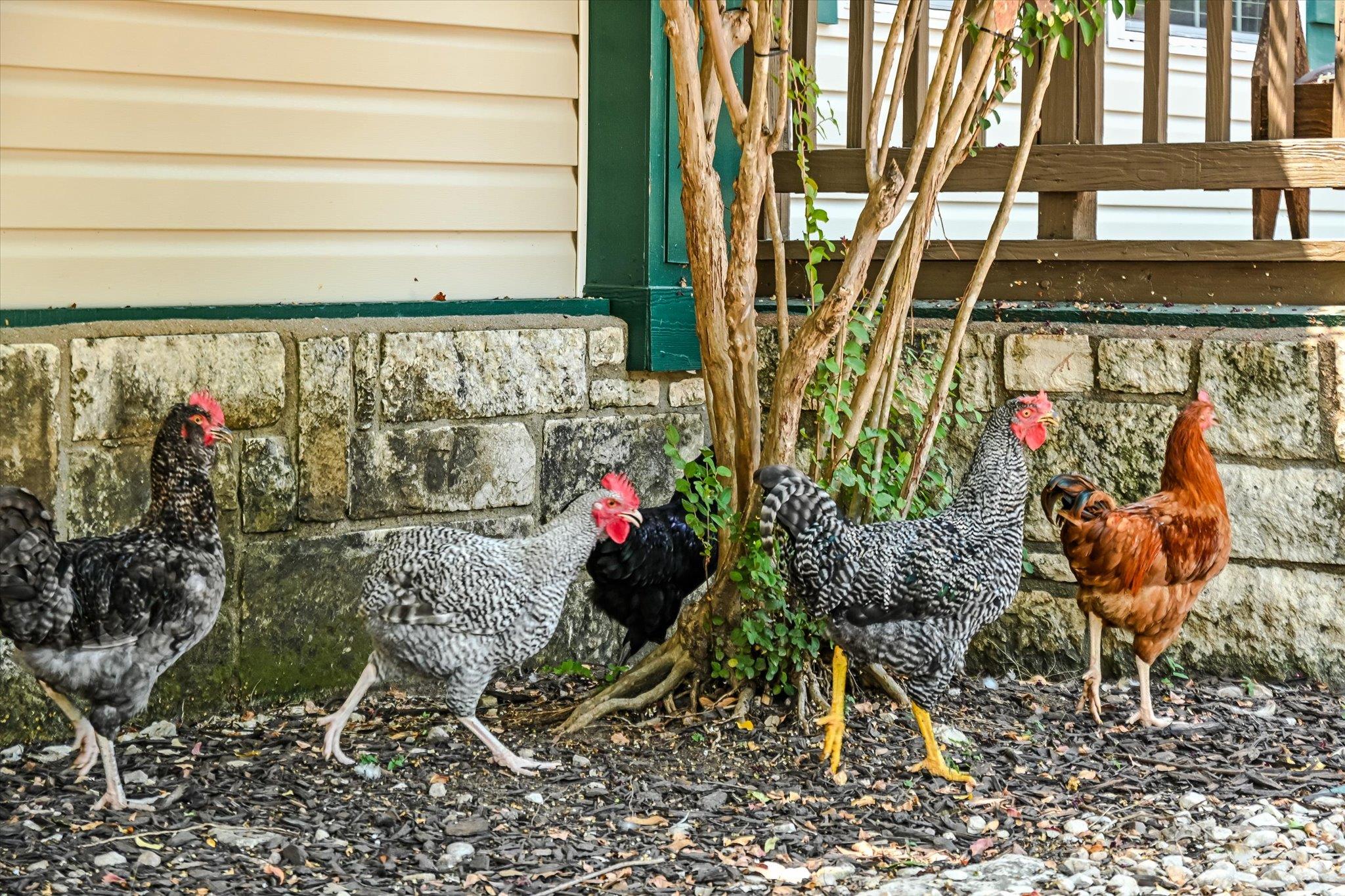 11790 E Fm 1431 Highway, Marble Falls, TX 78654